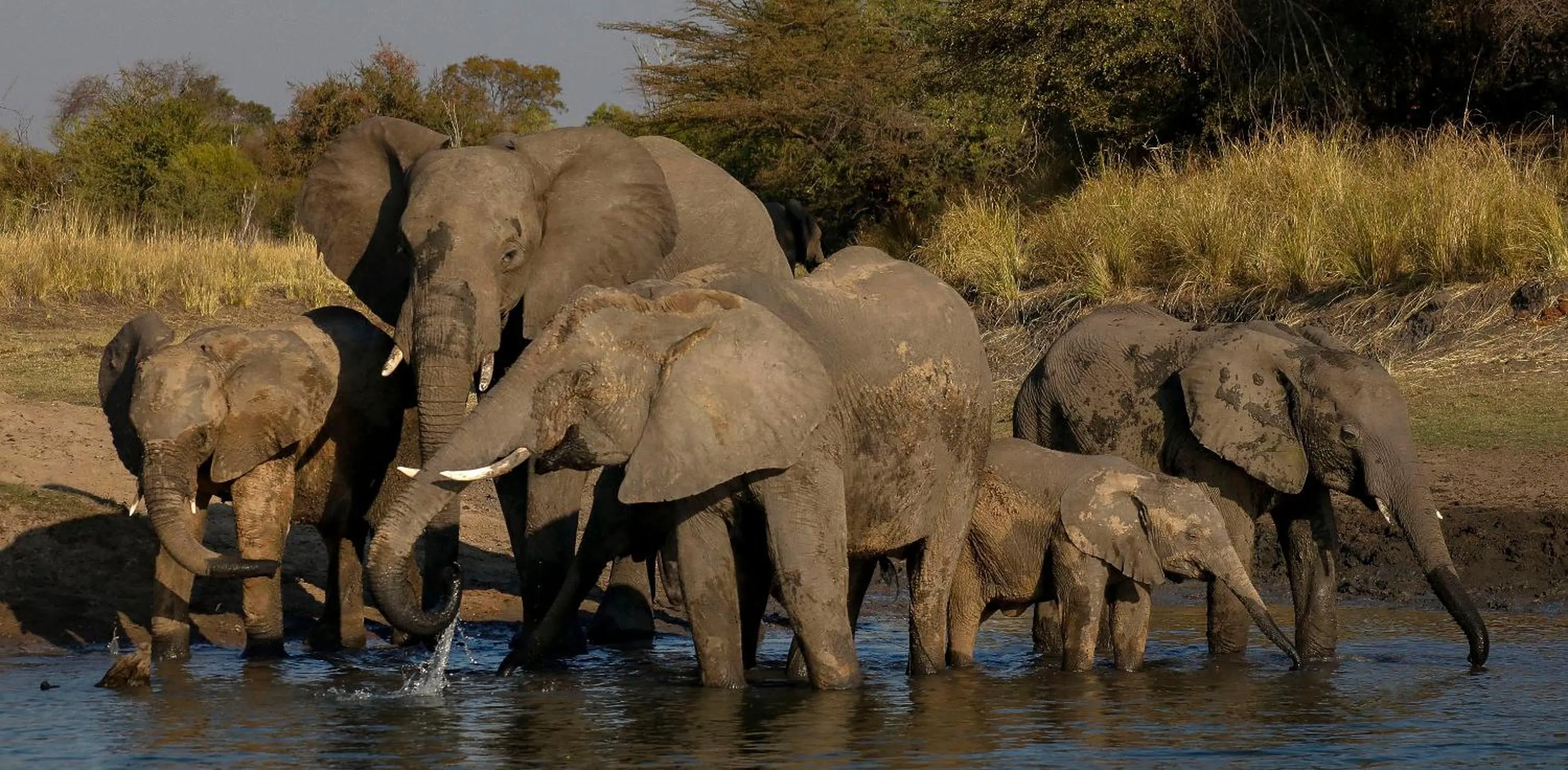 Day in Zambezi Dusk River Facing-all inclusive-Luxury Accommodation