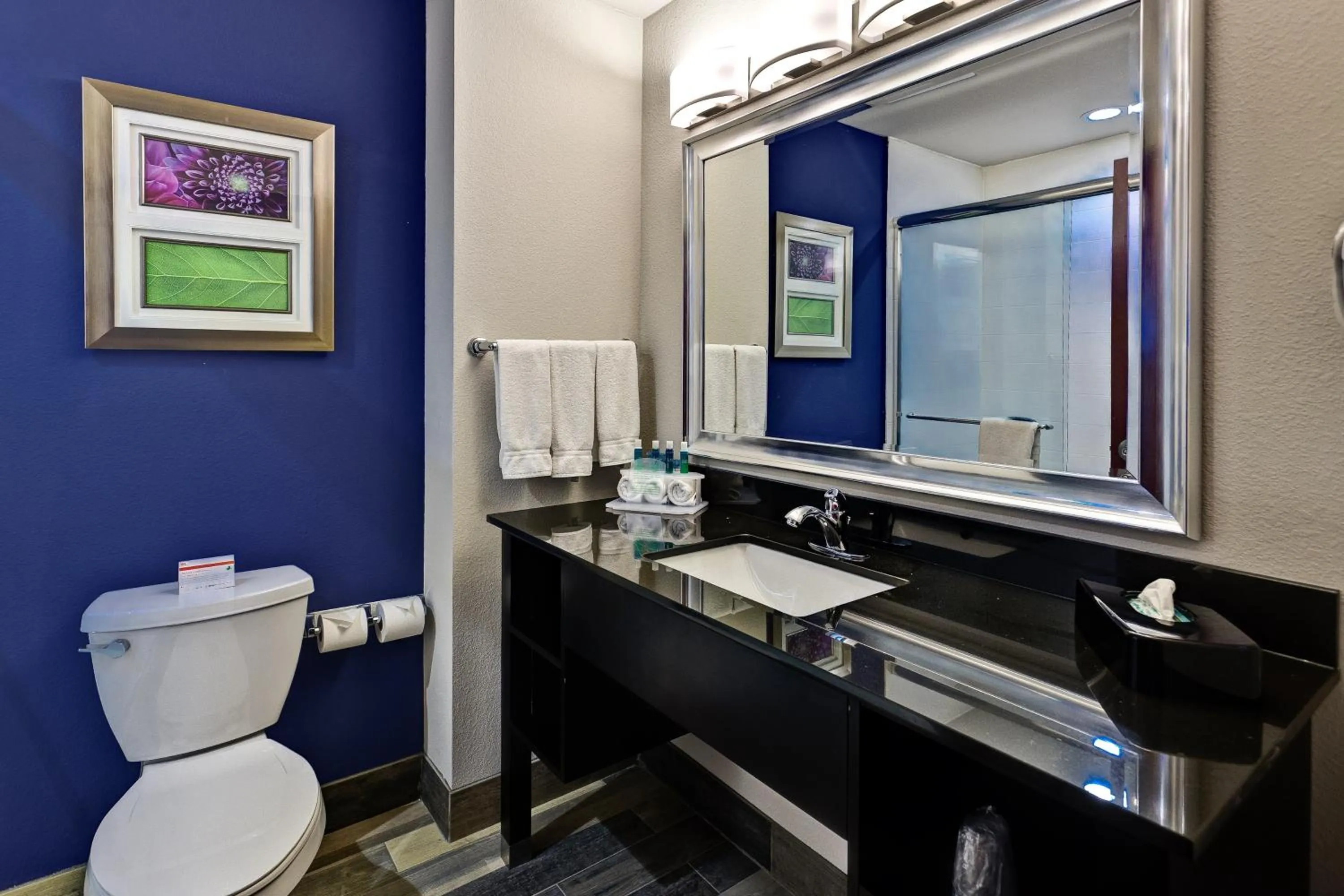 Bathroom in Holiday Inn Express Hutchison by IHG