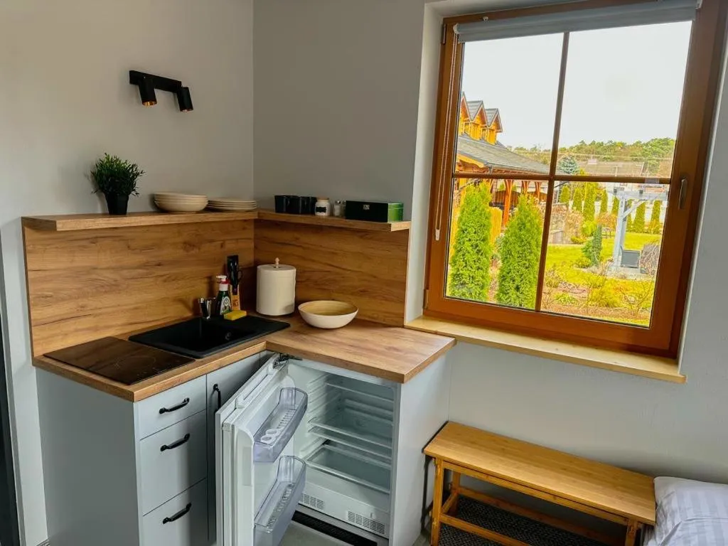 Kitchen or kitchenette in Hotel Czerwone Korale