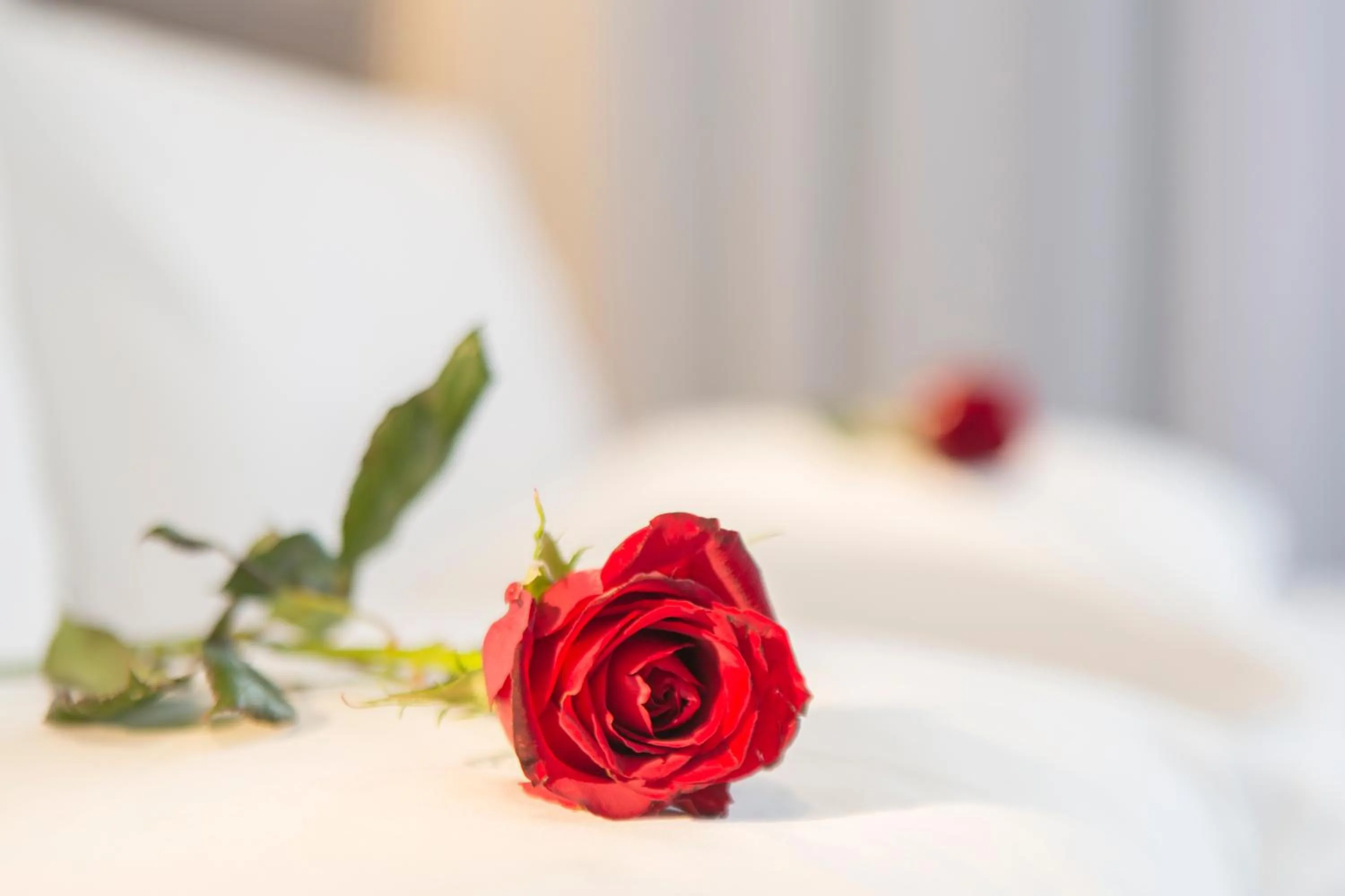 Other, Bed in Mercure Sao Paulo Vila Olimpia