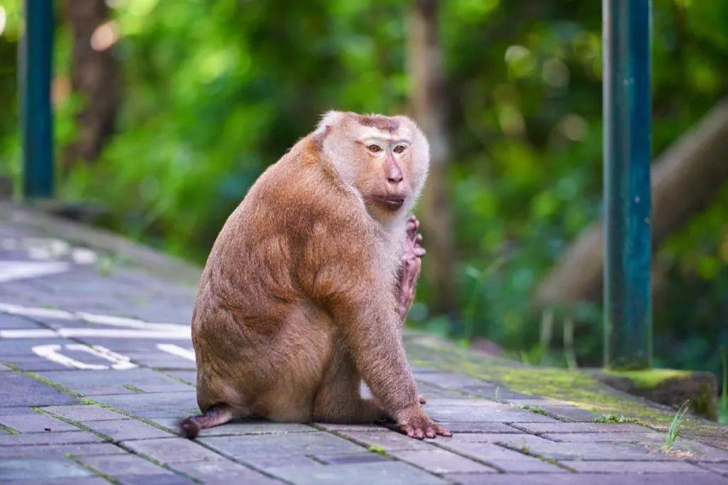 B2 Phuket Premier Hotel