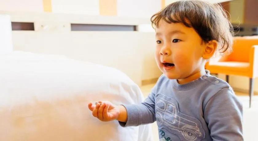 Hotel Dream Gate Maihama Annex