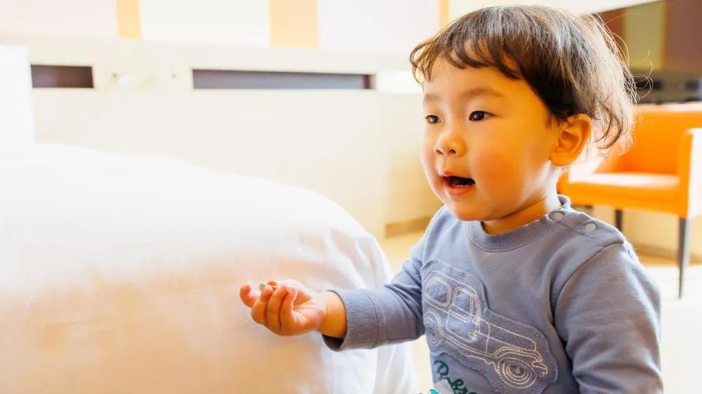 Hotel Dream Gate Maihama Annex