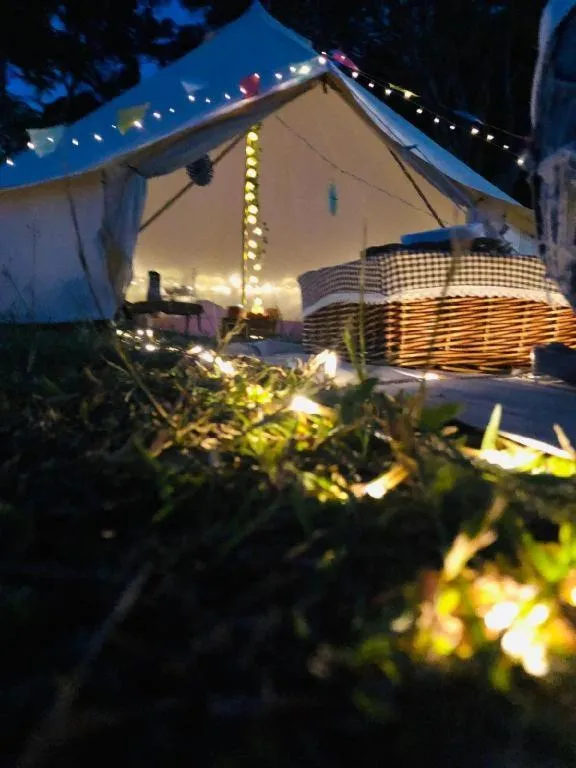 Glamping kaki singapore-Standard medium bell tent