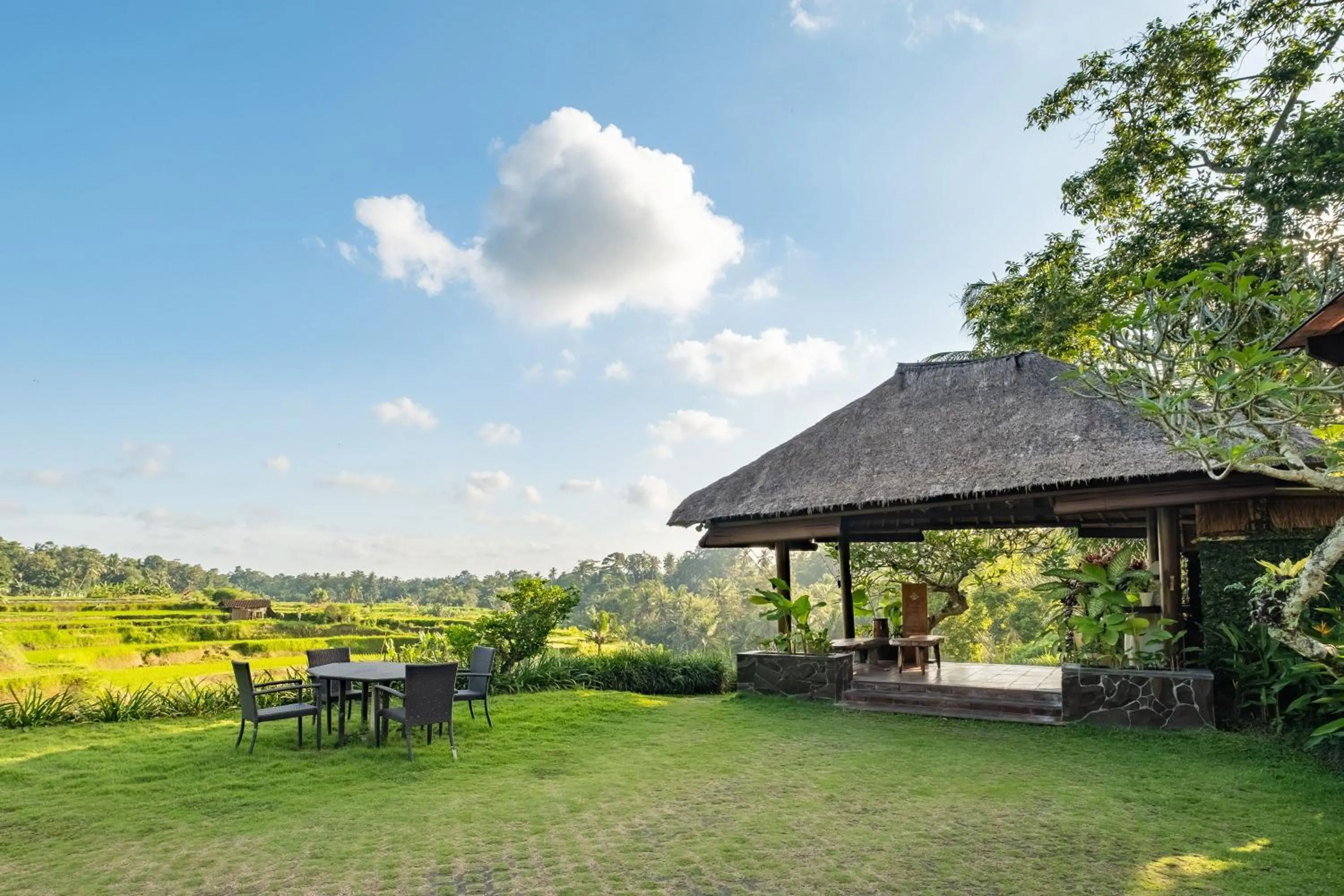 Natural landscape in Semana Residences by Cove