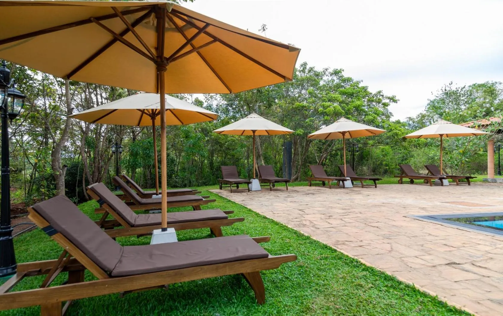 Swimming pool in Sigiriya Forest Edge By Marino Leisure