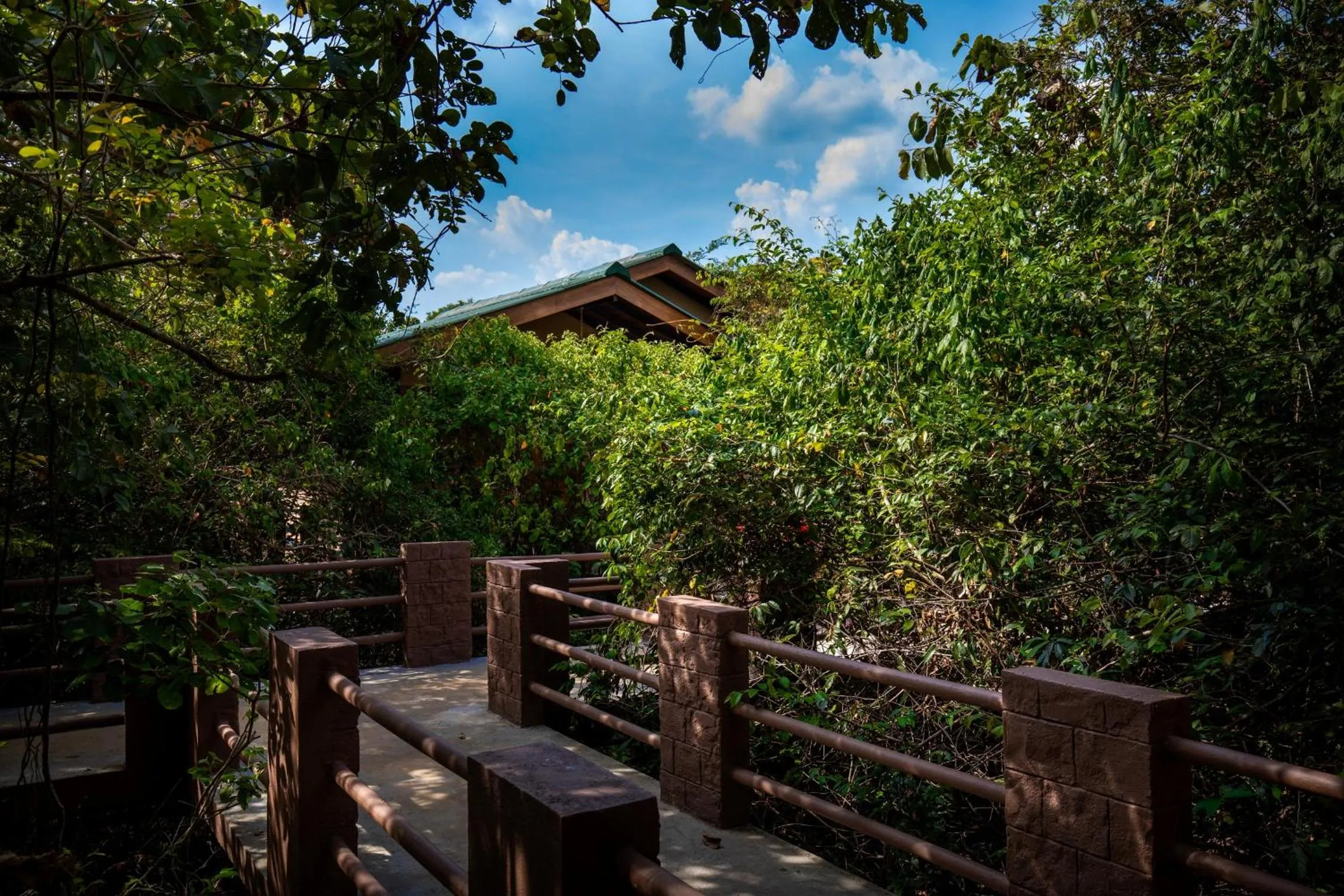 Garden in Sigiriya Forest Edge By Marino Leisure