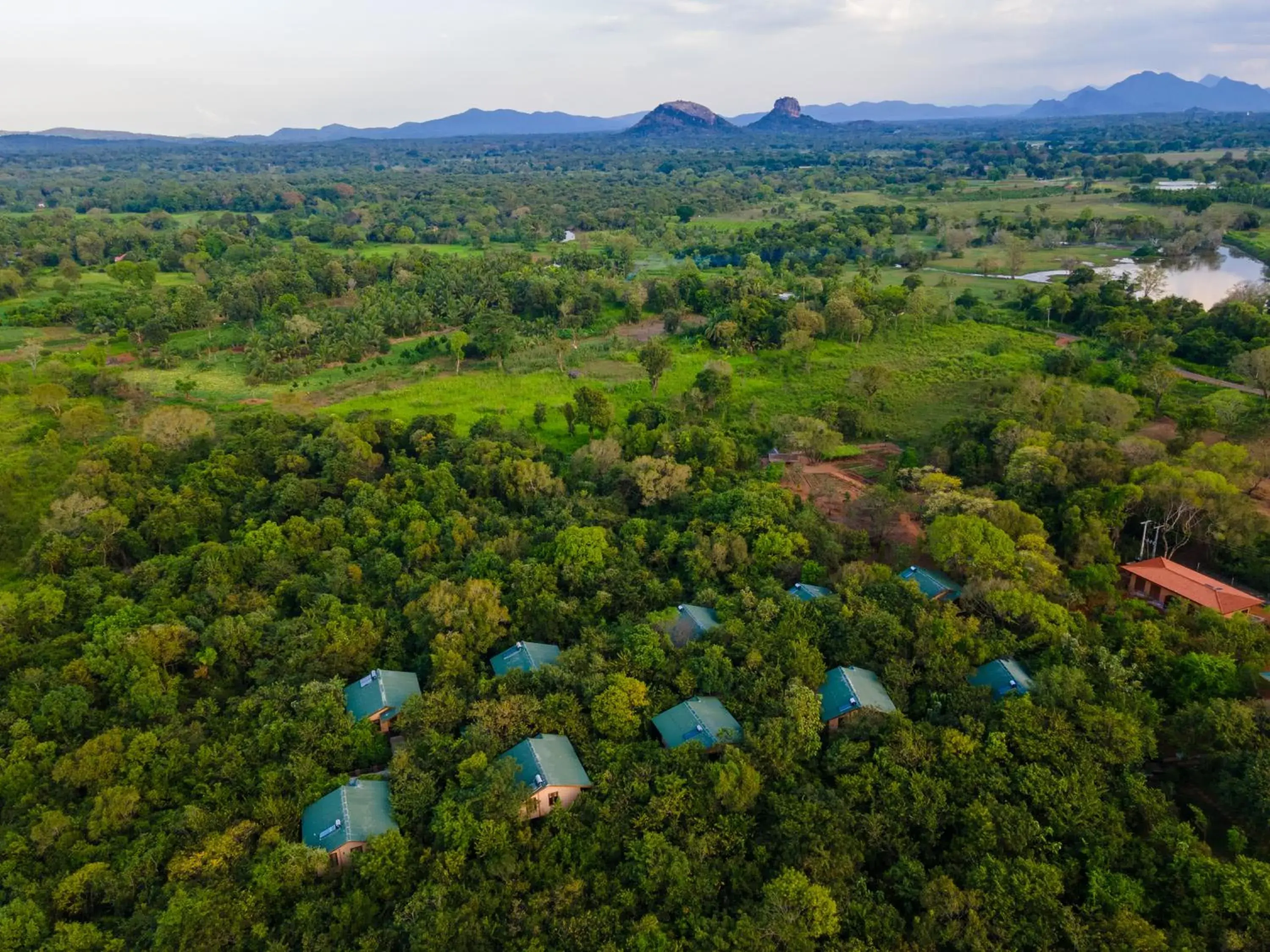 View (from property/room) in Sigiriya Forest Edge By Marino Leisure View (from property/room) in Sigiriya Forest Edge By Marino Leisure