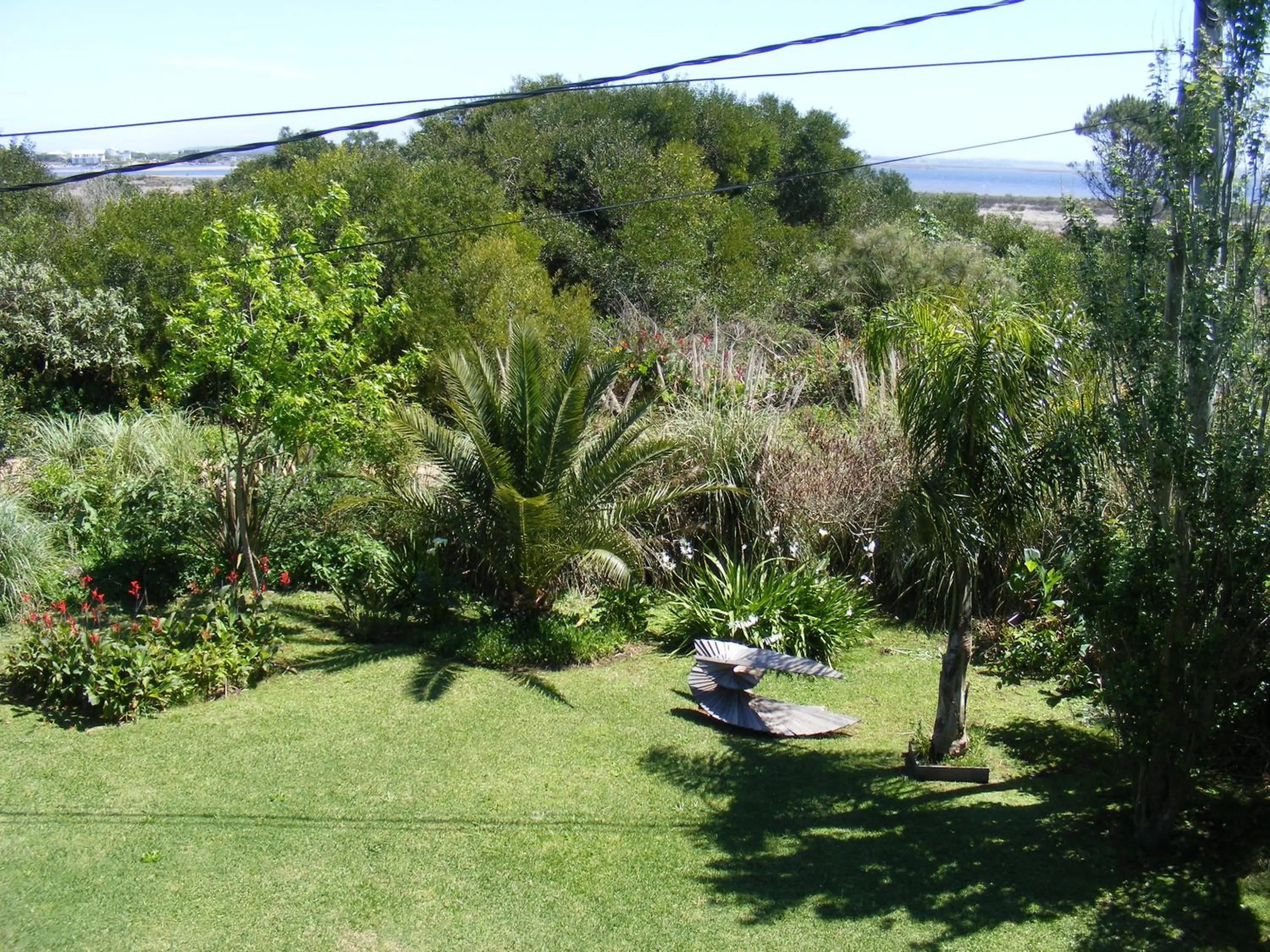 Garden view in Hale Lau