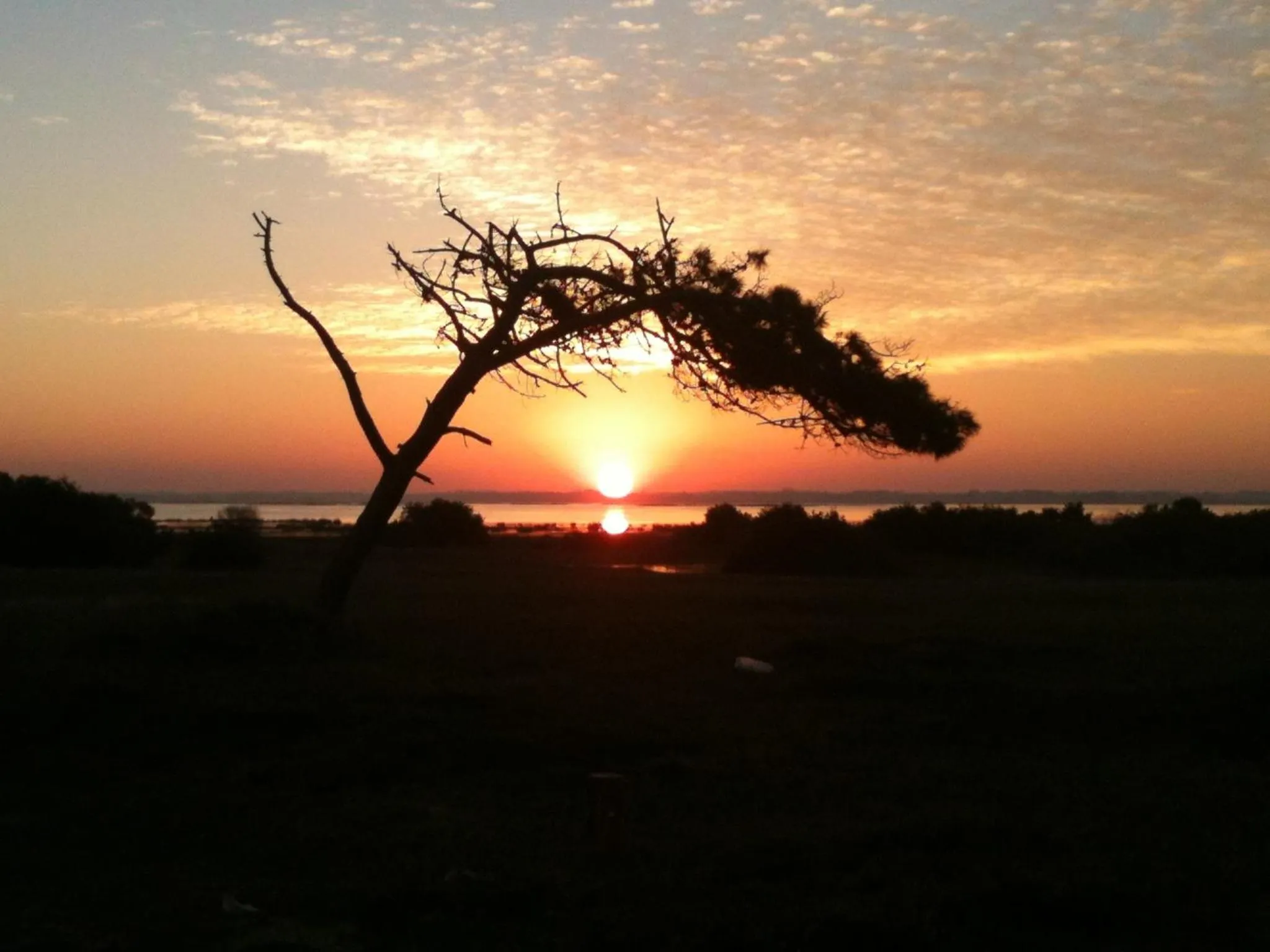 View (from property/room) in Hale Lau