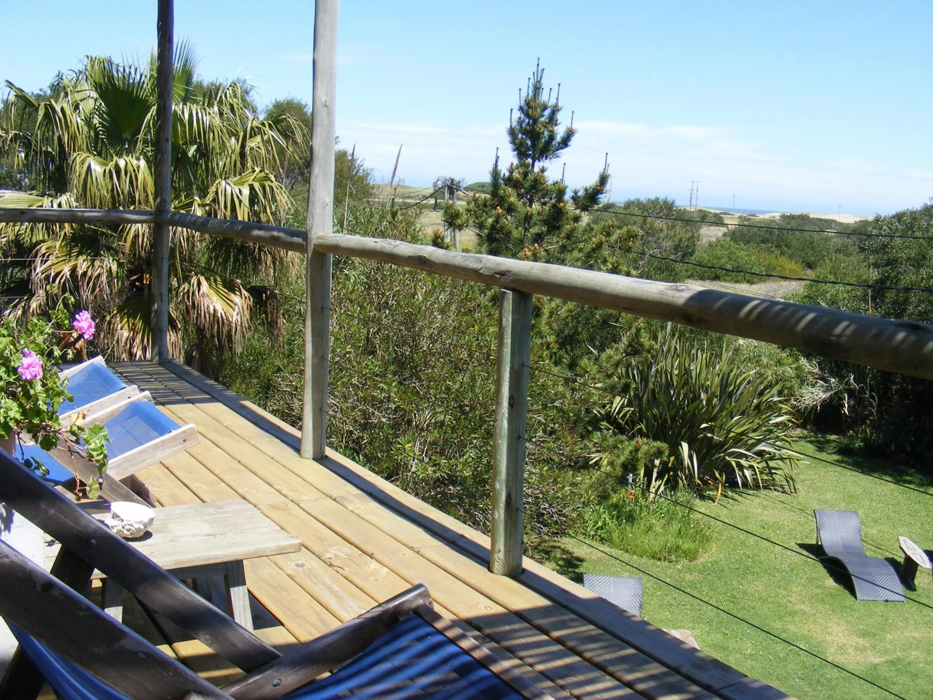 Garden view in Hale Lau