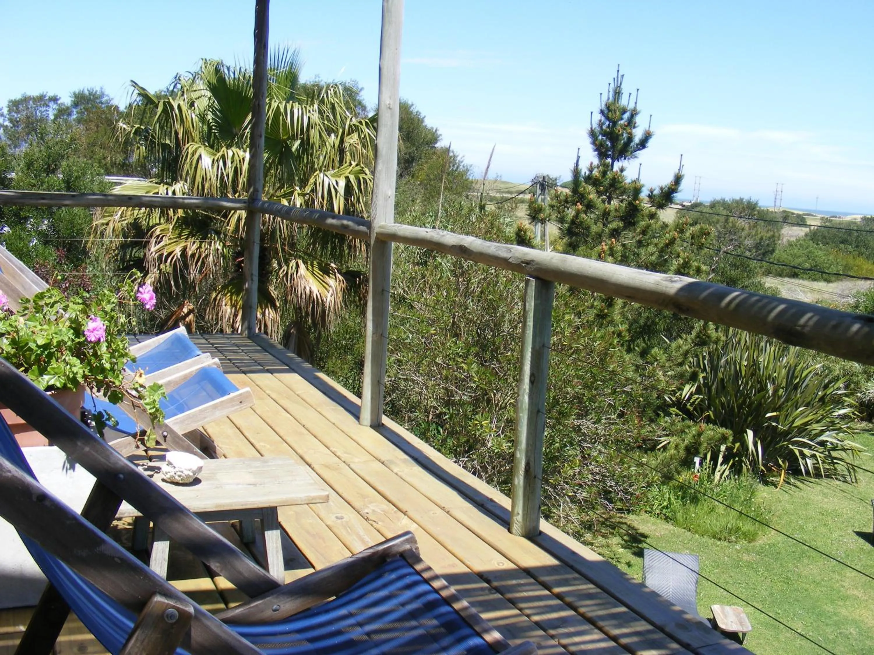 Garden view in Hale Lau
