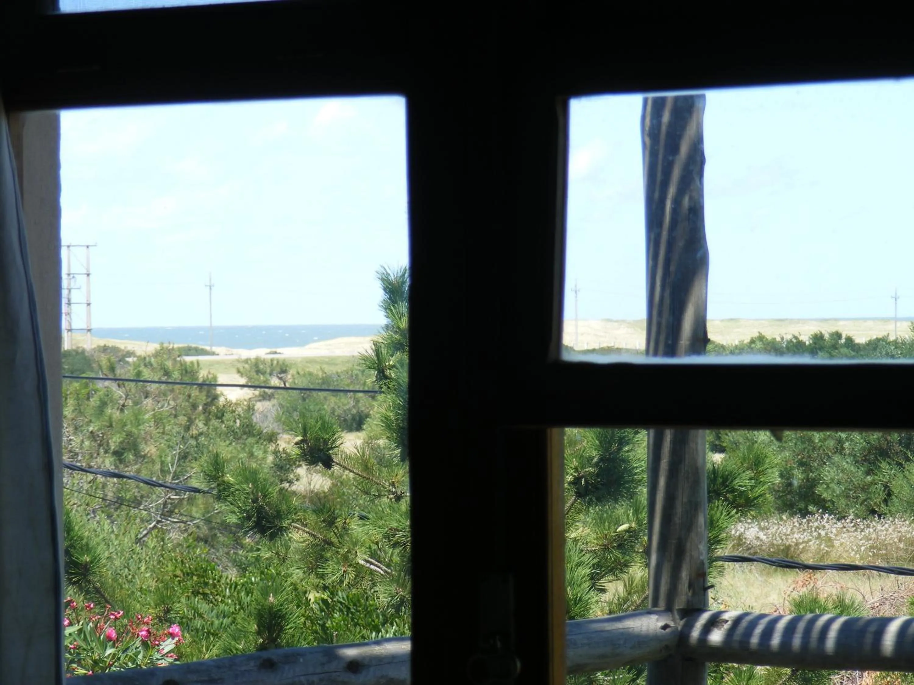 View (from property/room) in Hale Lau