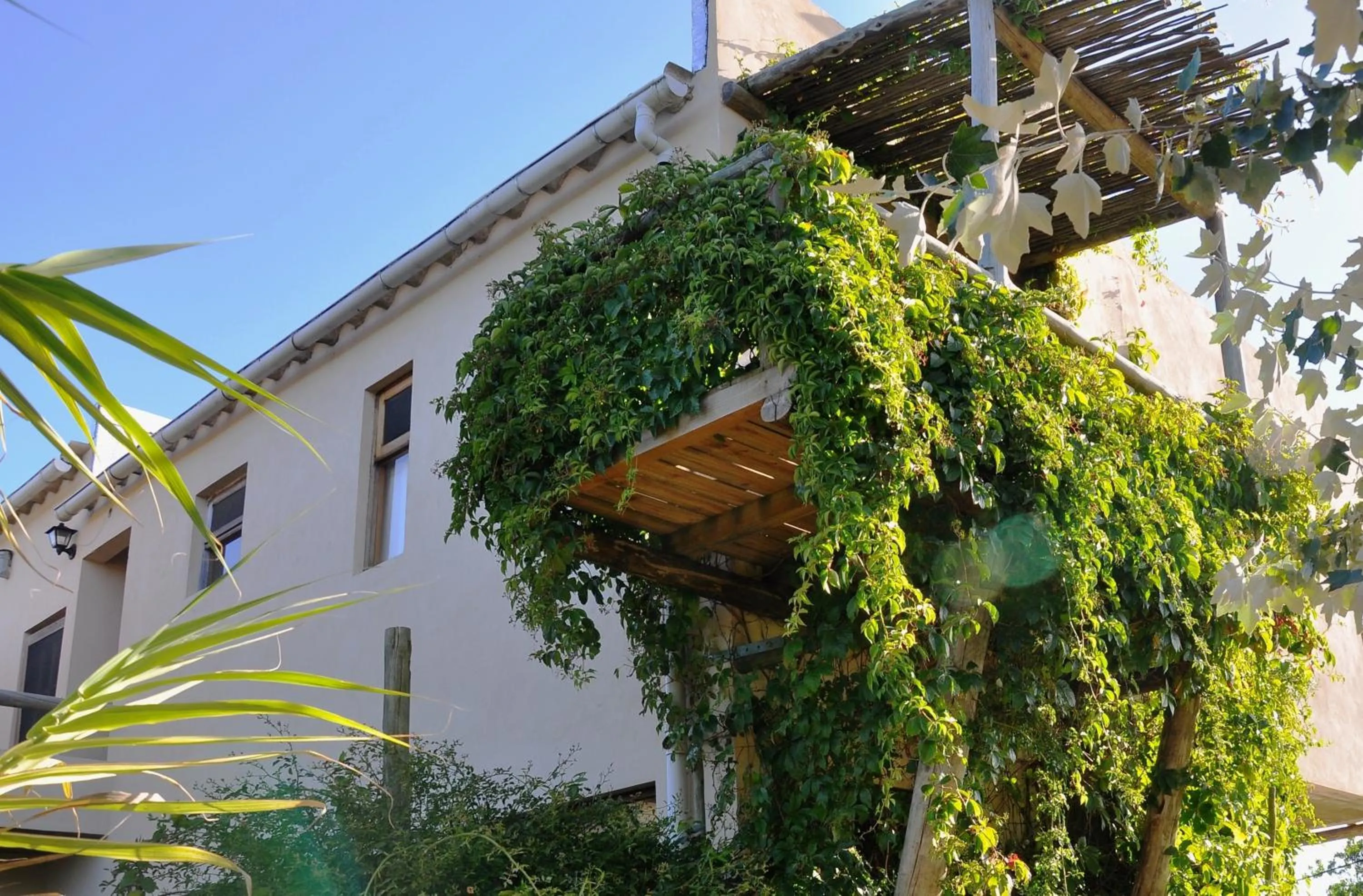 Balcony/Terrace in Hale Lau