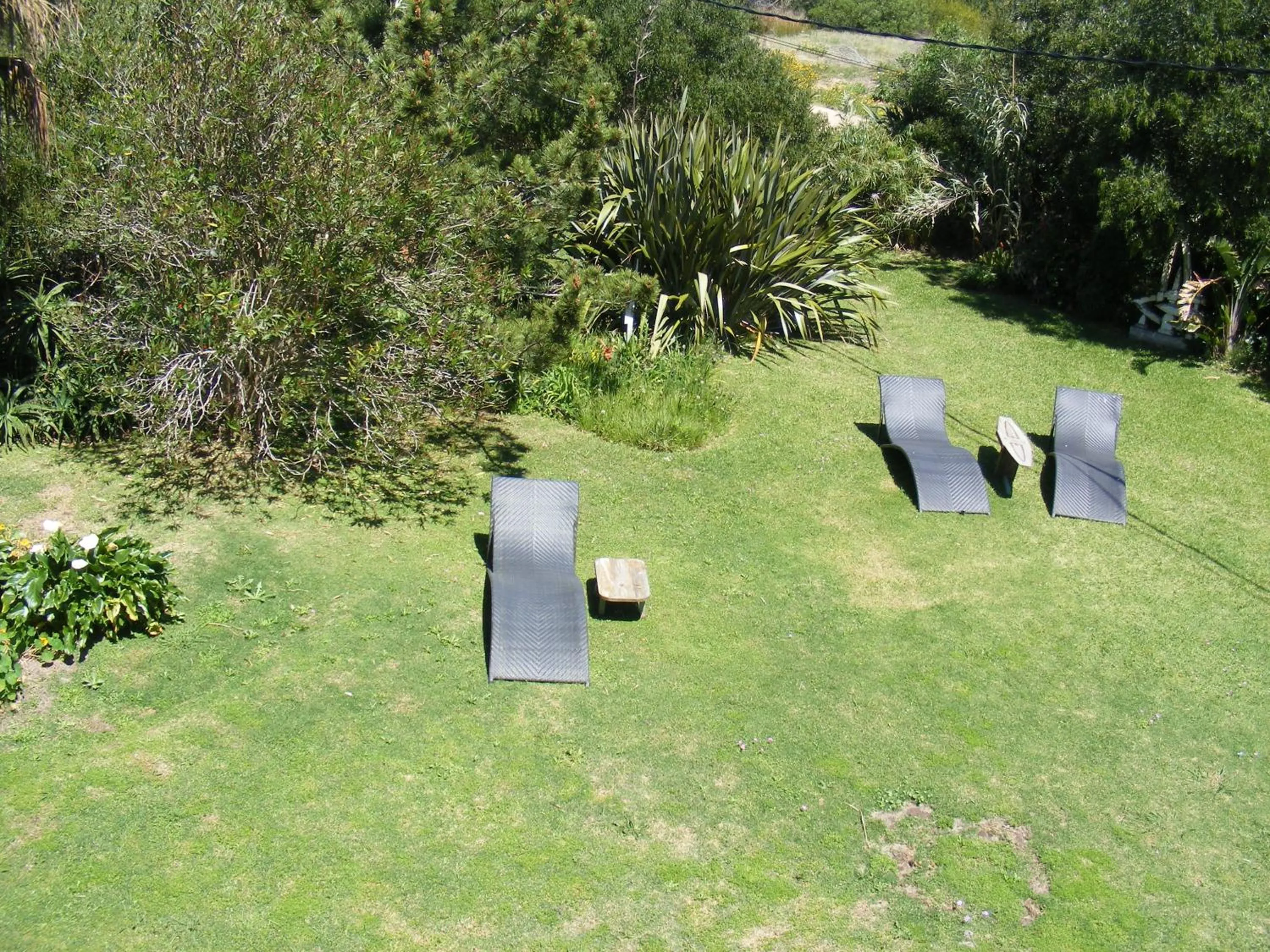 Garden view in Hale Lau