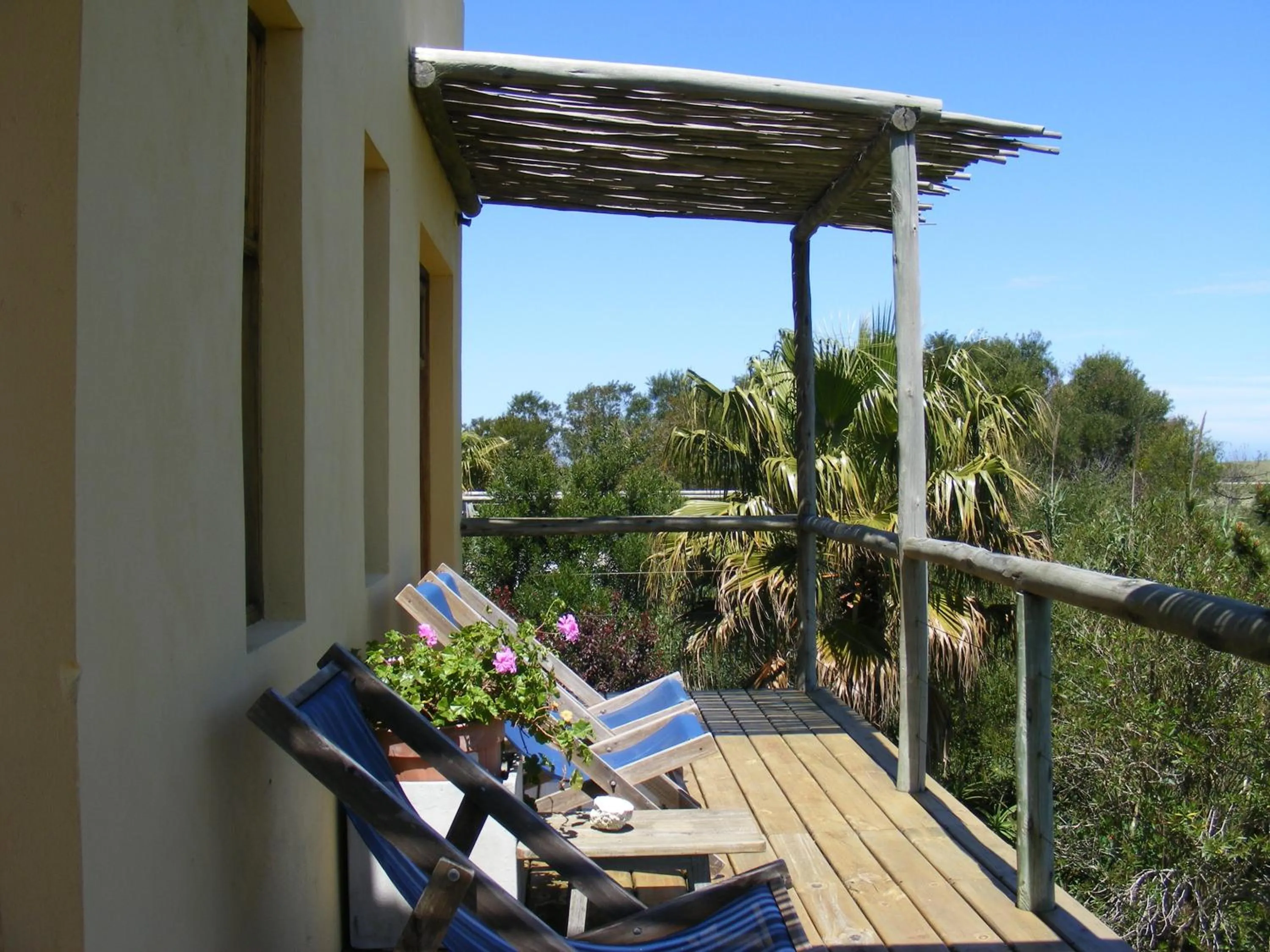 View (from property/room) in Hale Lau