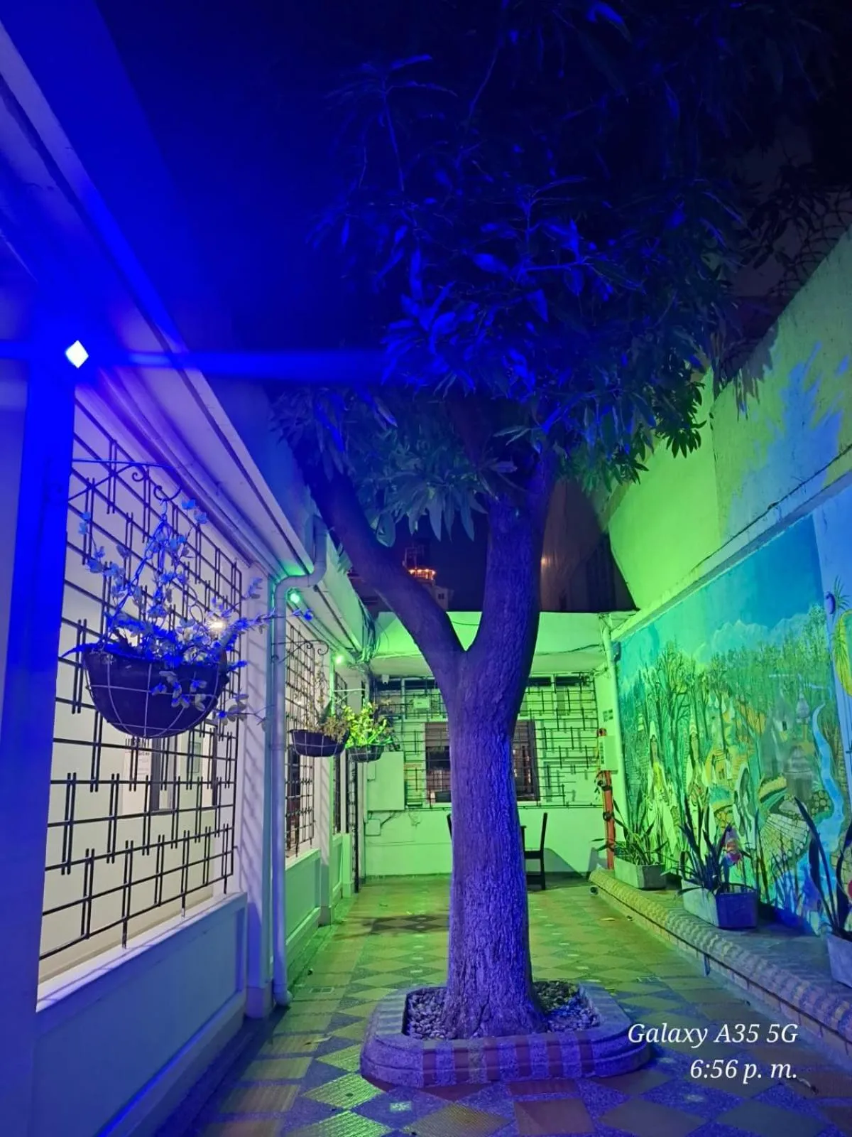 Patio in Hotel Medellin