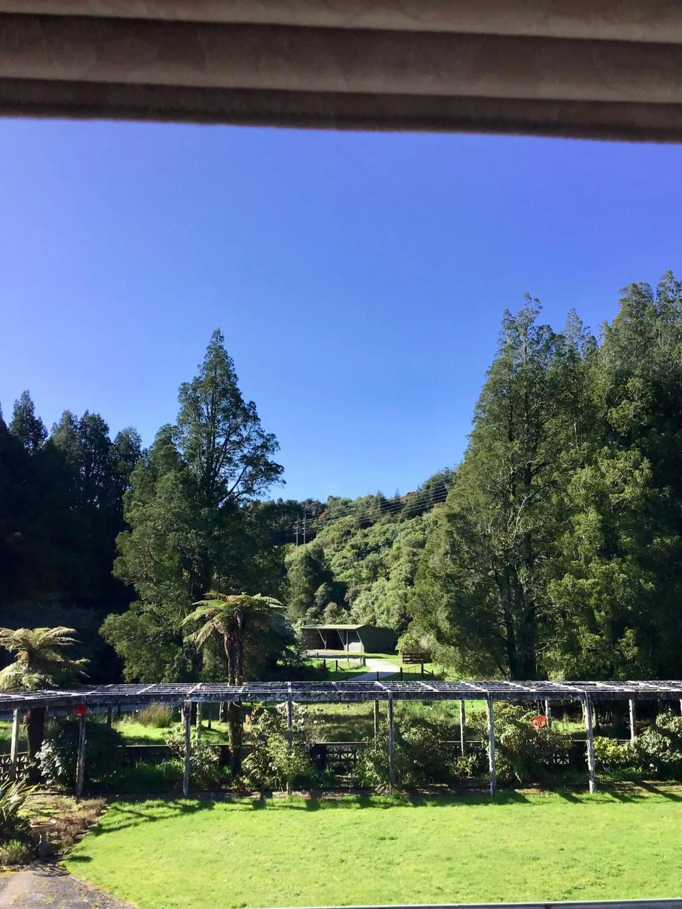 Woodland Glen Lodge B&B