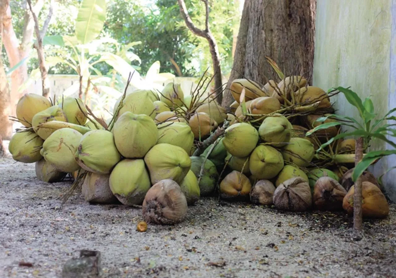 Other in Panji Panji Tropical Wooden Home