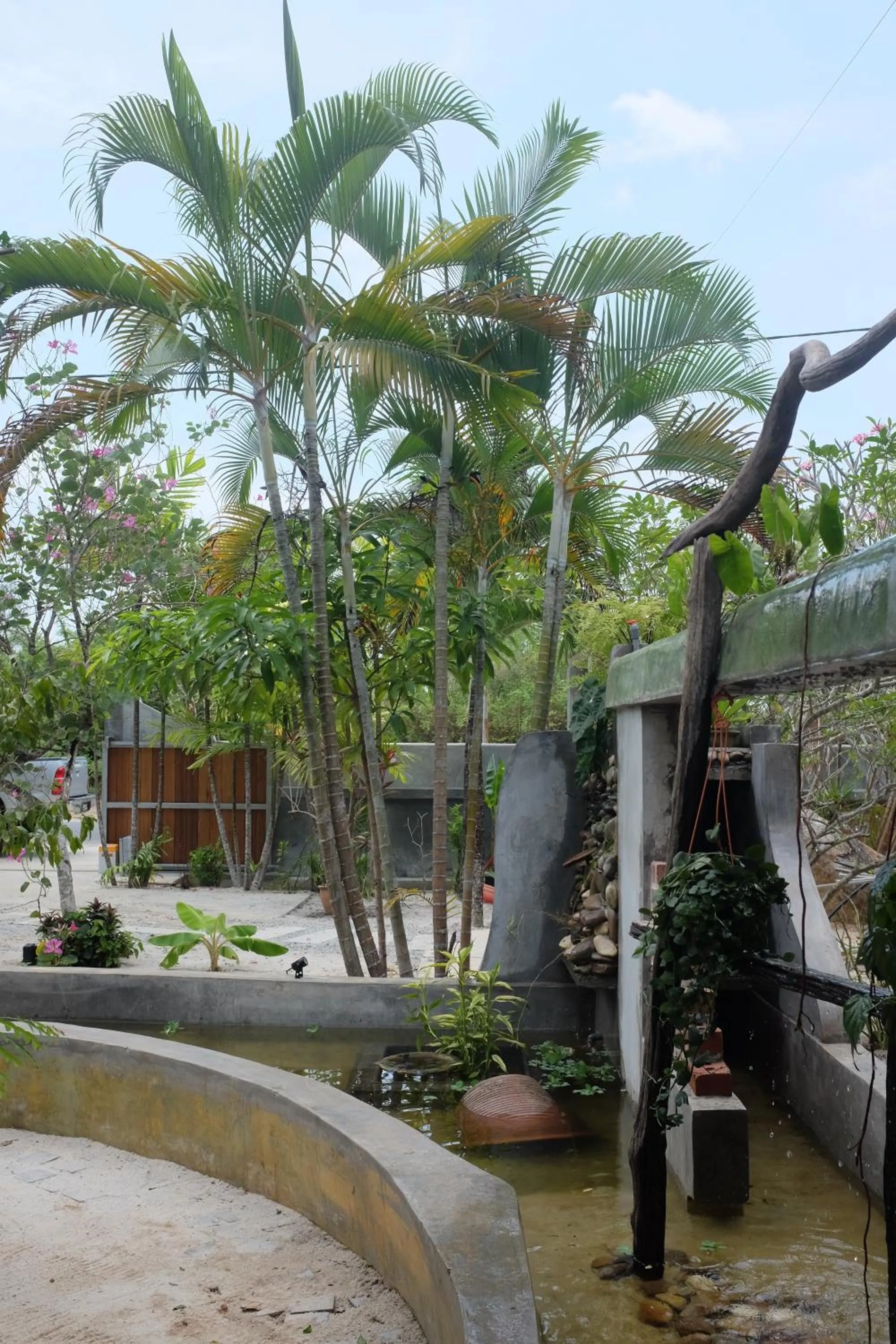 Garden view in Panji Panji Tropical Wooden Home