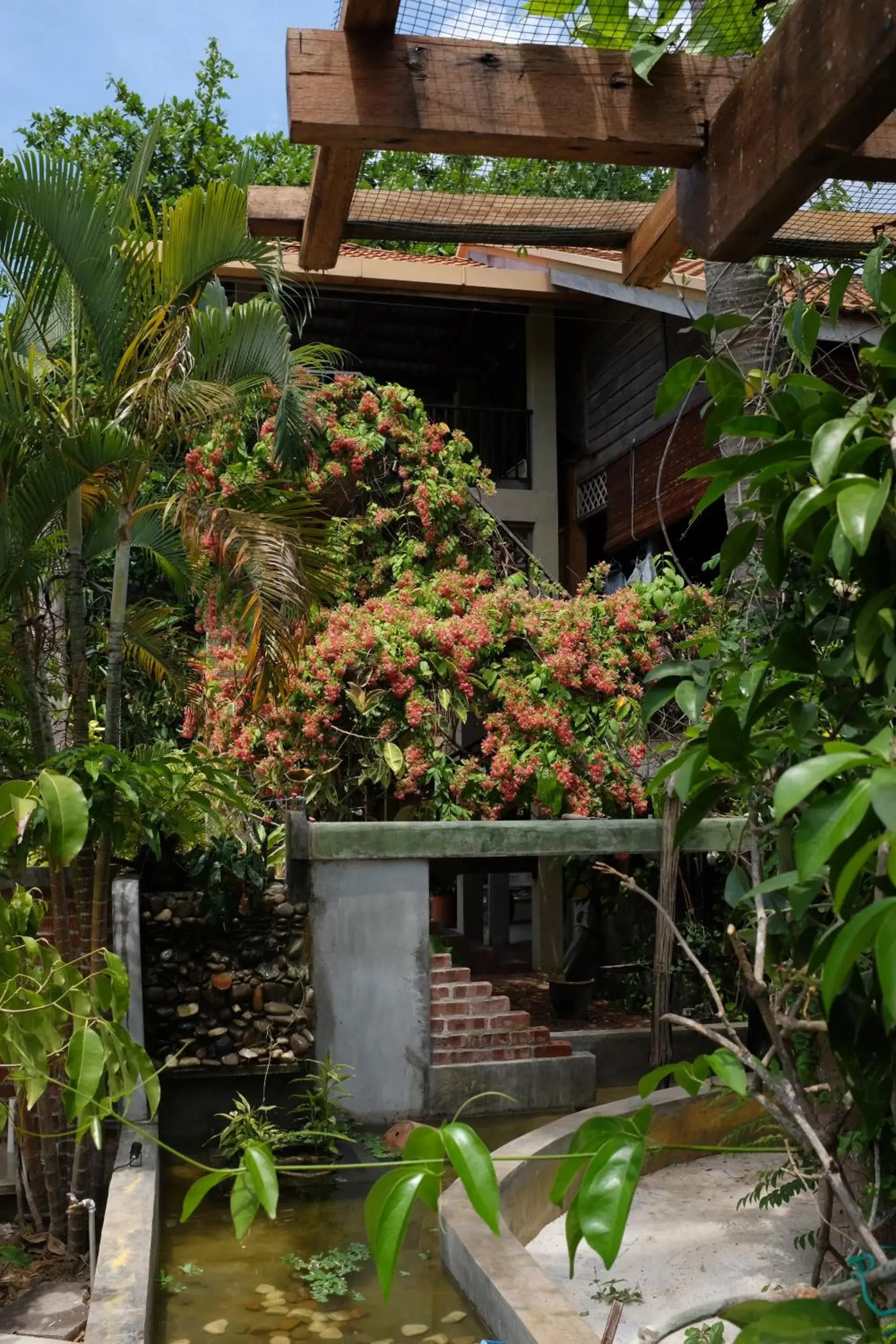 Garden view in Panji Panji Tropical Wooden Home Garden view in Panji Panji Tropical Wooden Home