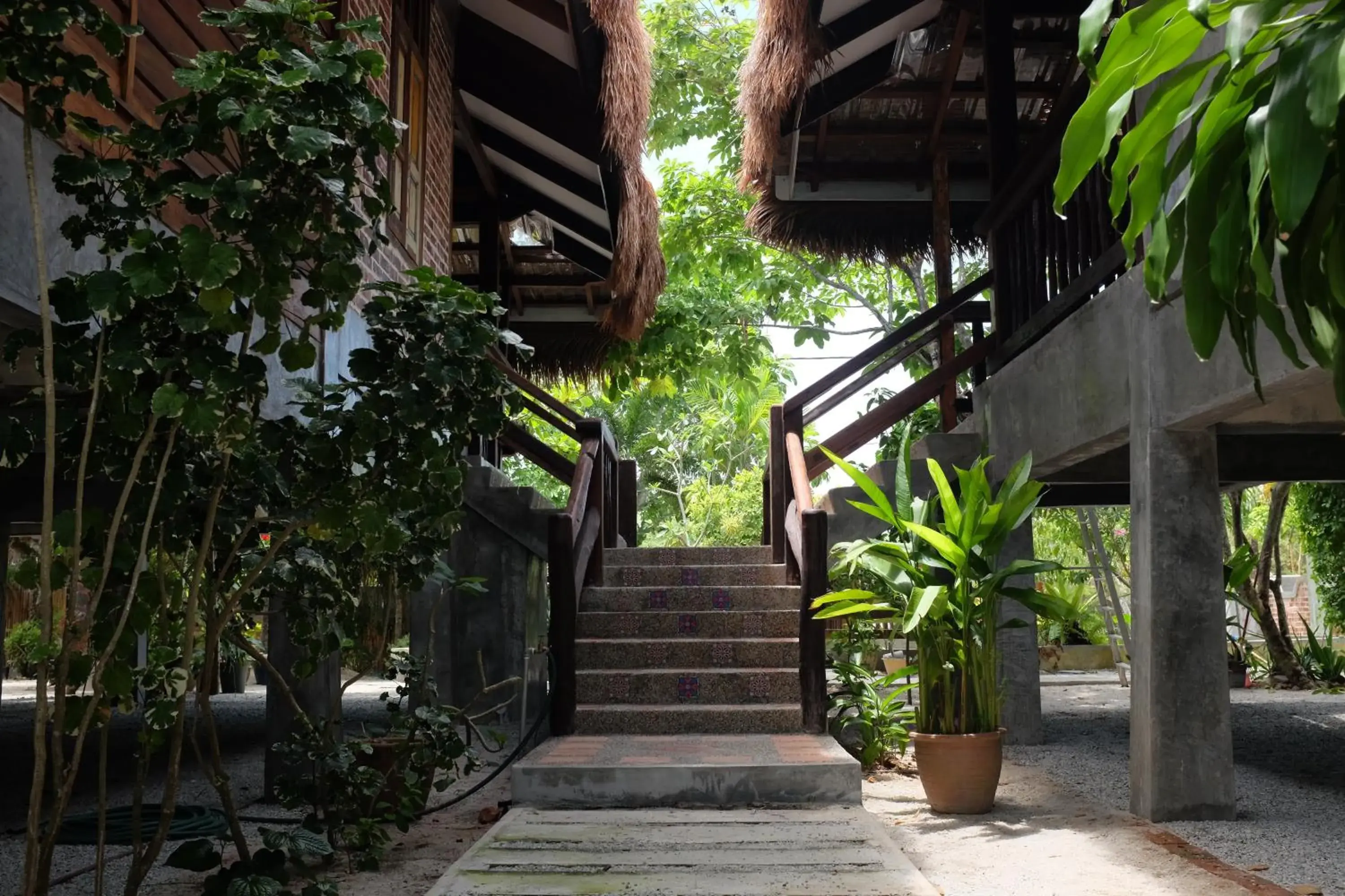 Garden view in Panji Panji Tropical Wooden Home Garden view in Panji Panji Tropical Wooden Home