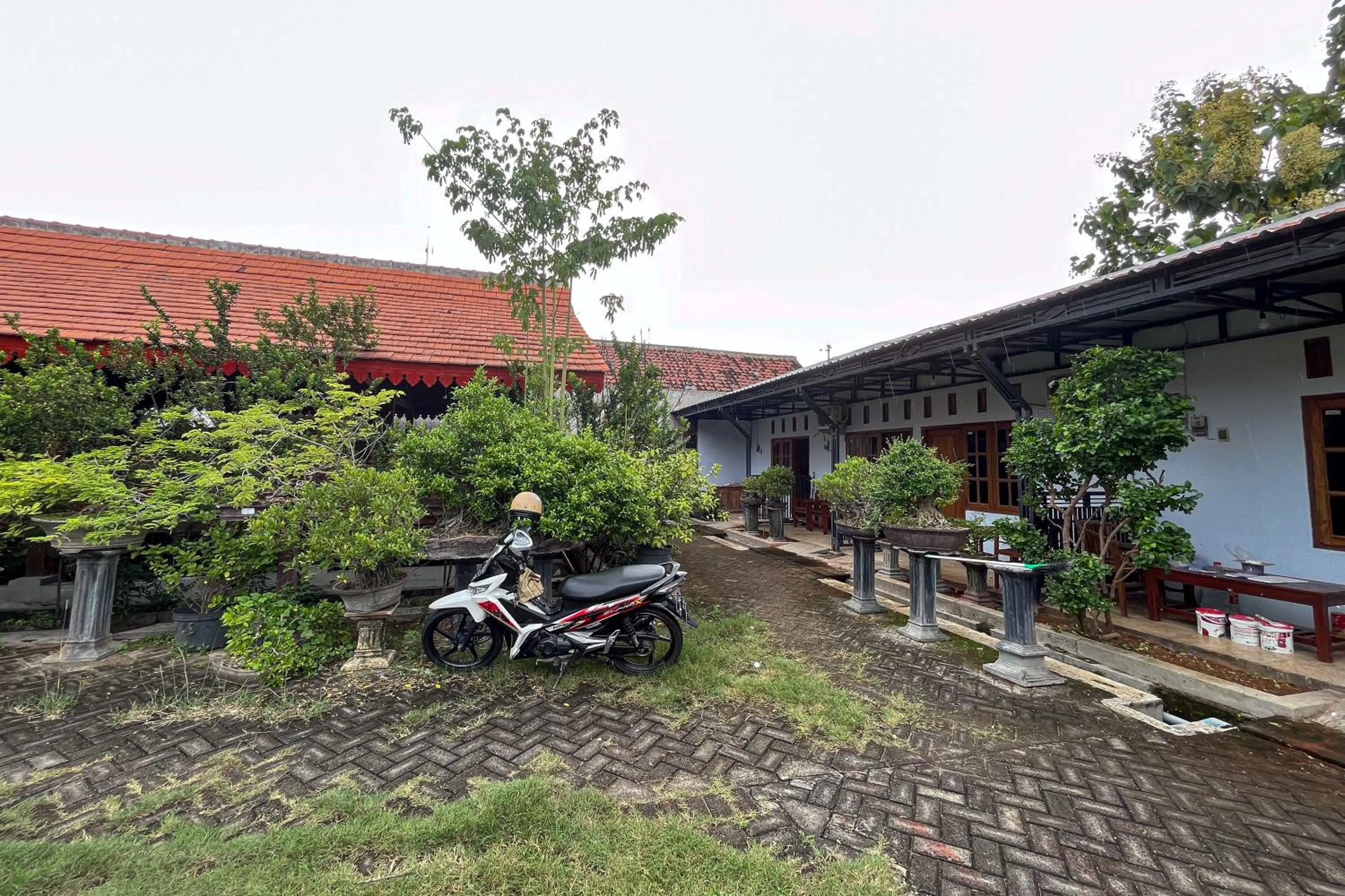 Garden in RedDoorz Syariah near RS Bhayangkara Nganjuk