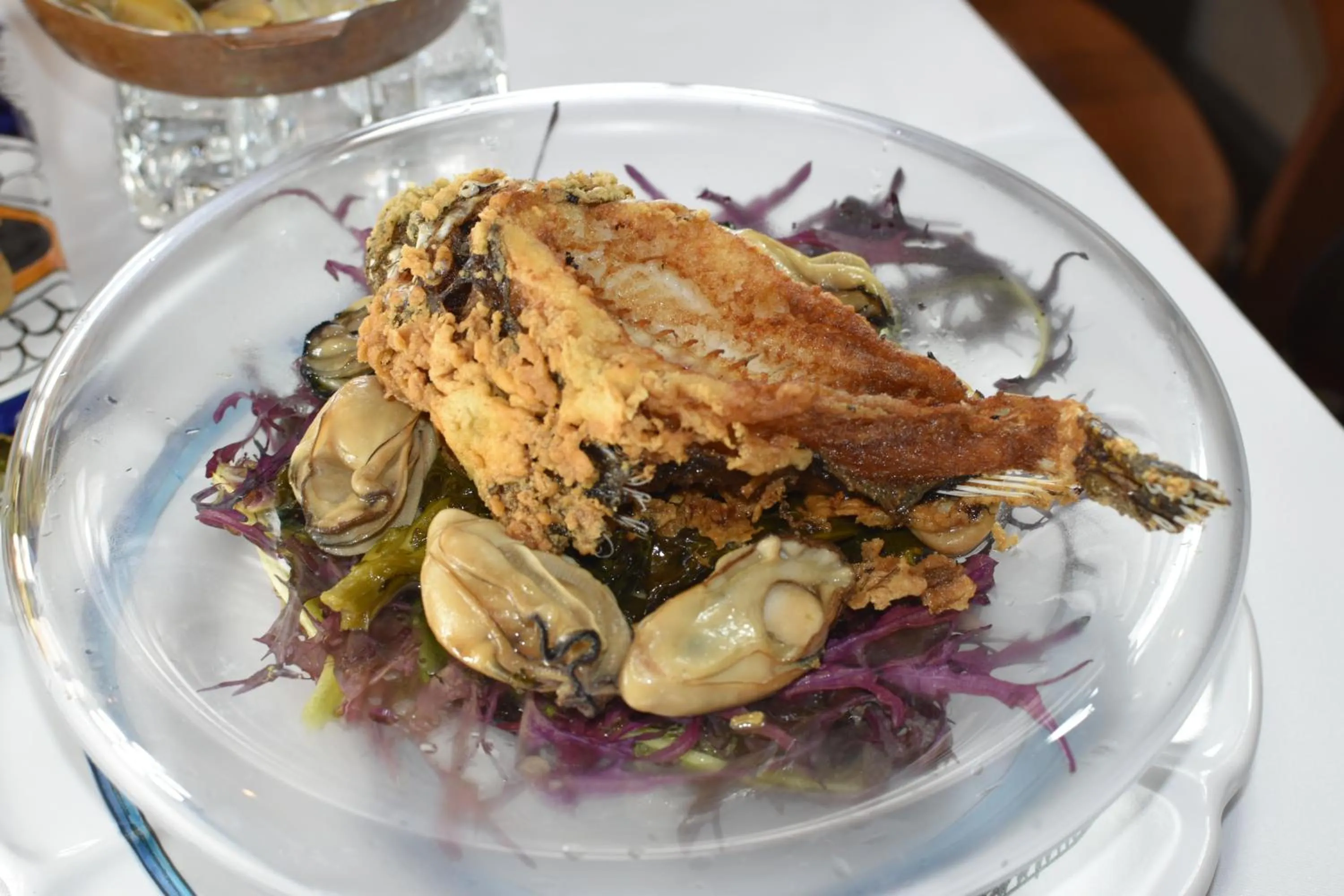 Dinner in Hotel CASA VICO