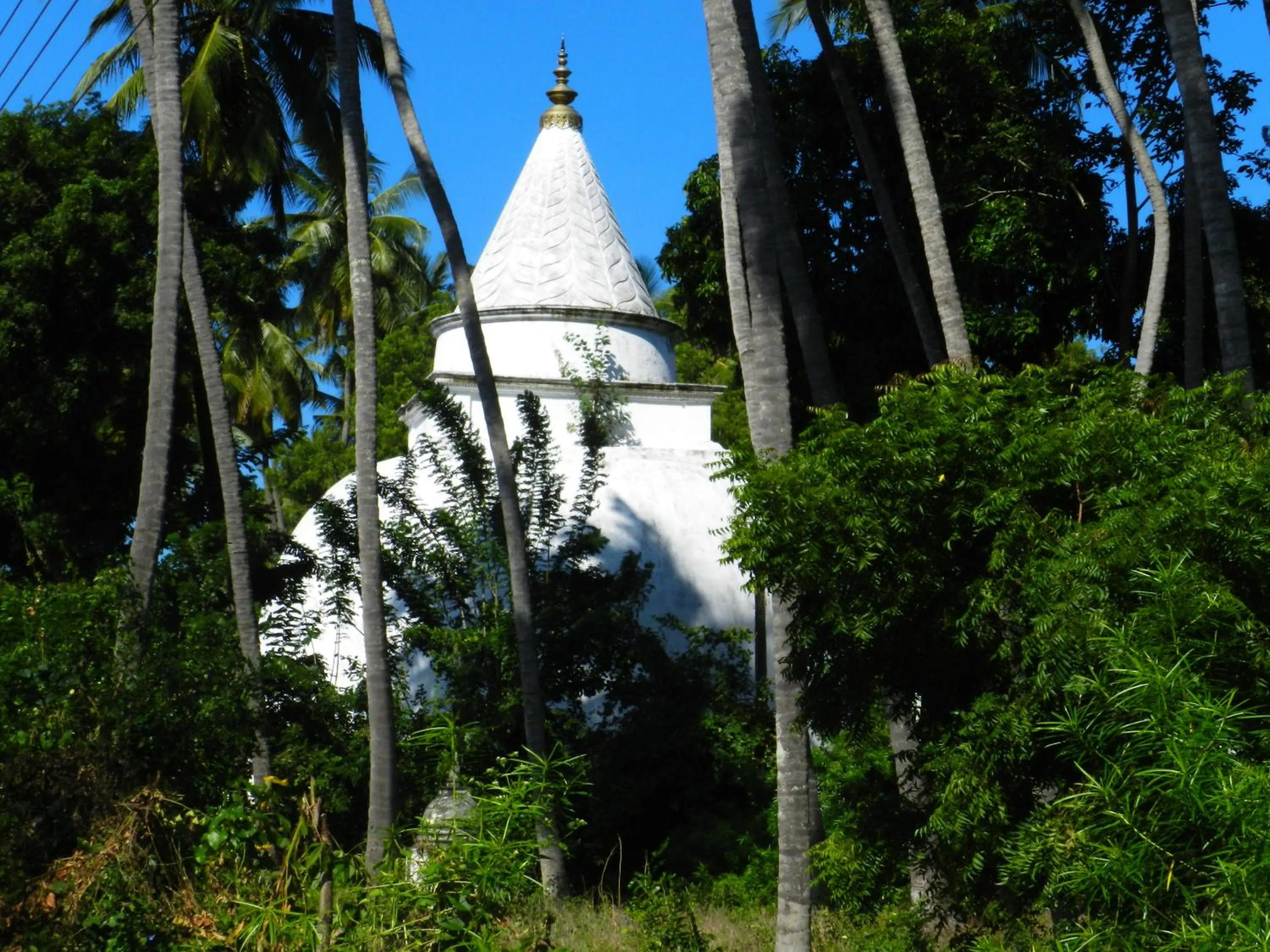 Day in Traveller's Home Hotel