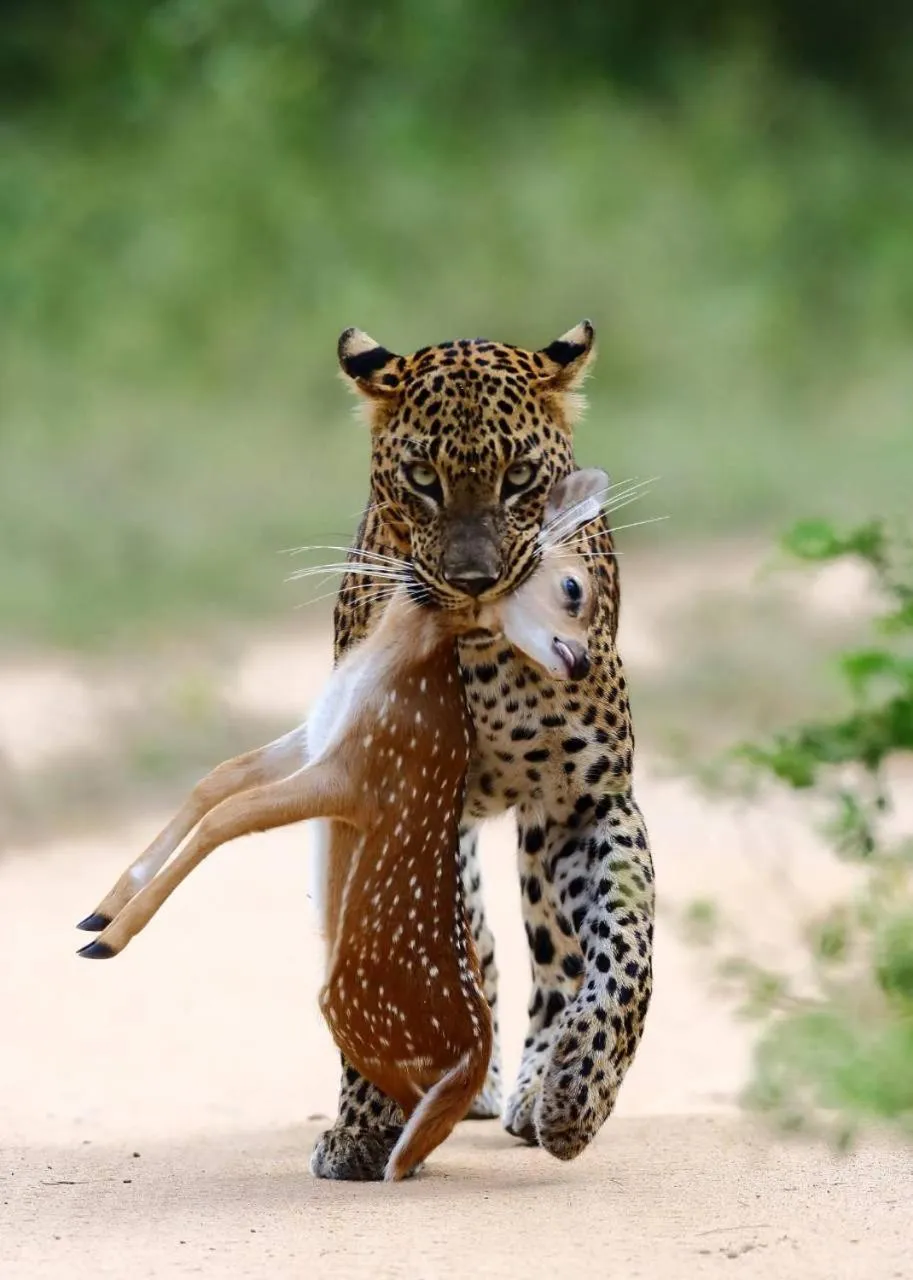 Activities in Traveller's Home Hotel