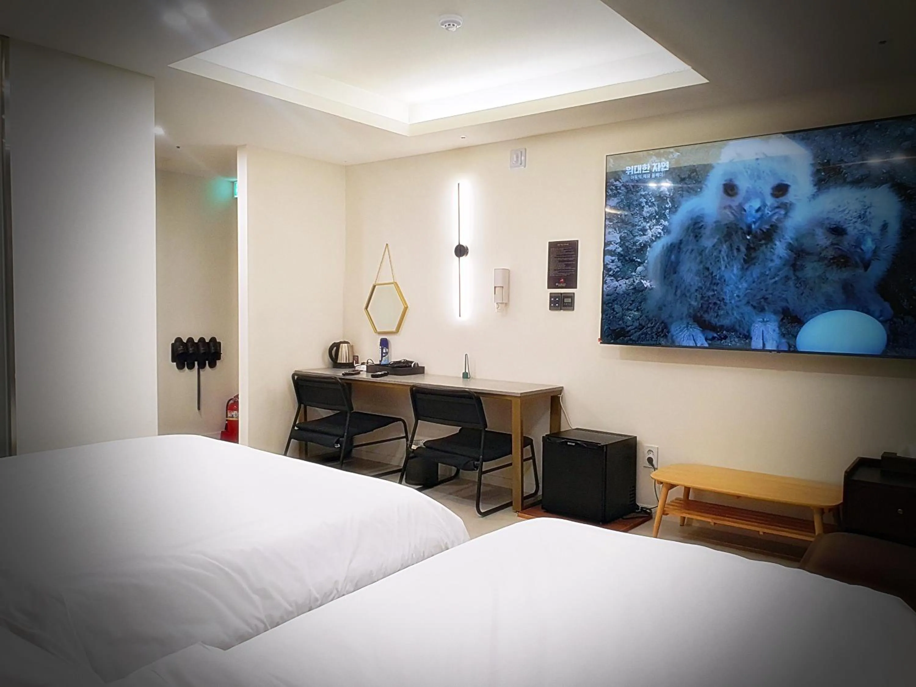 Photo of the whole room, Bed in Bluebird Hotel