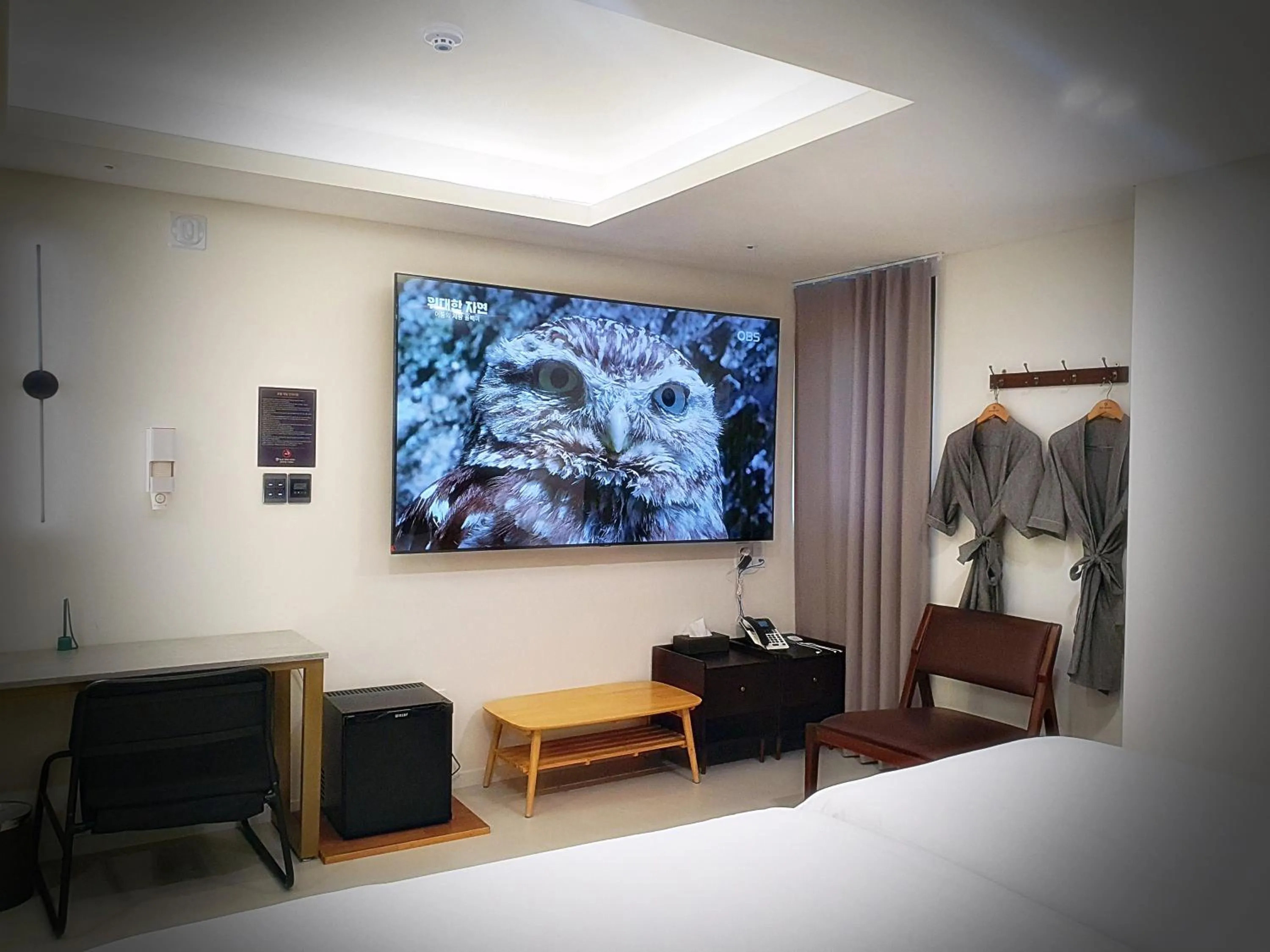 Photo of the whole room in Bluebird Hotel