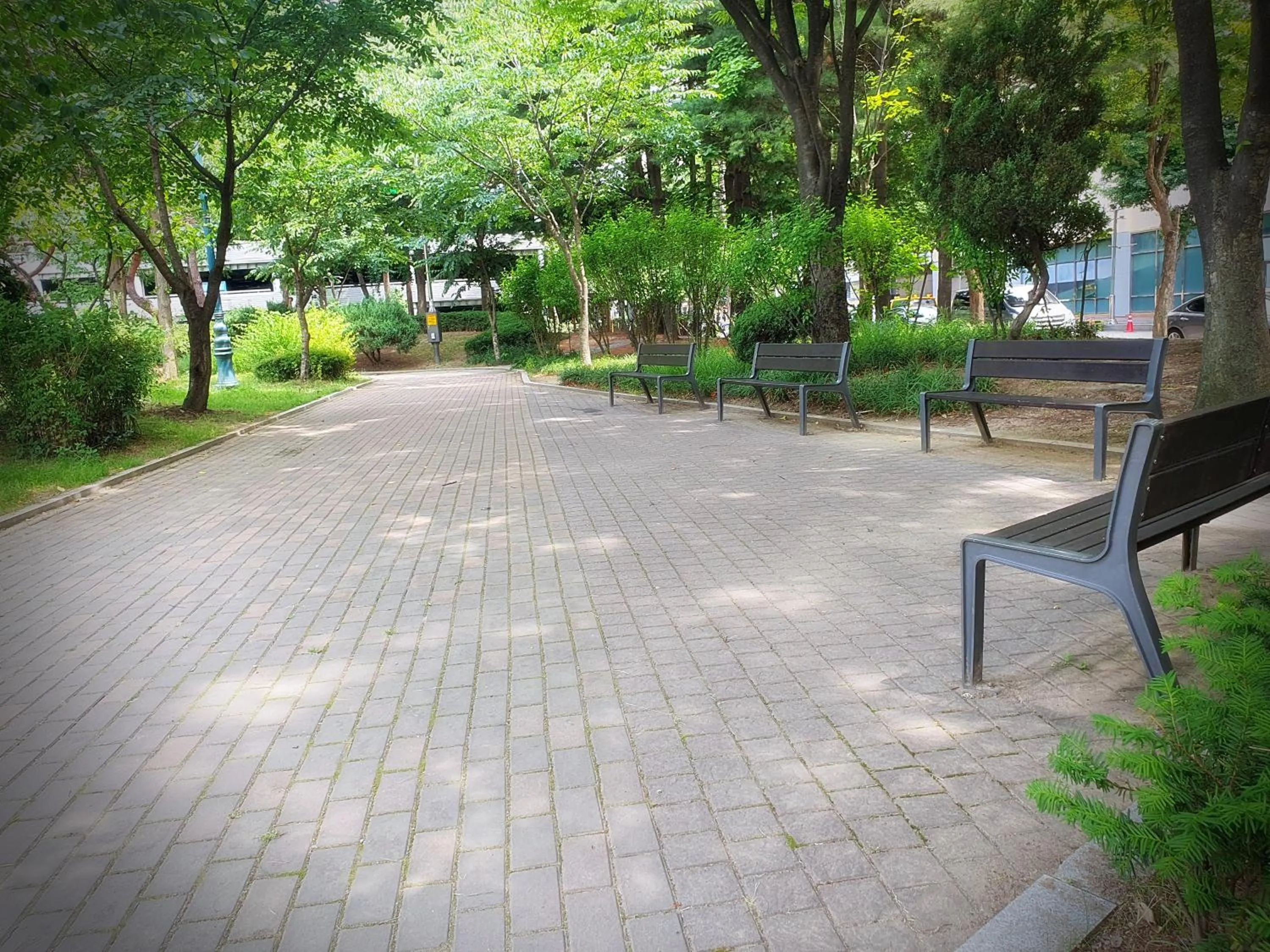 Neighbourhood in Bluebird Hotel