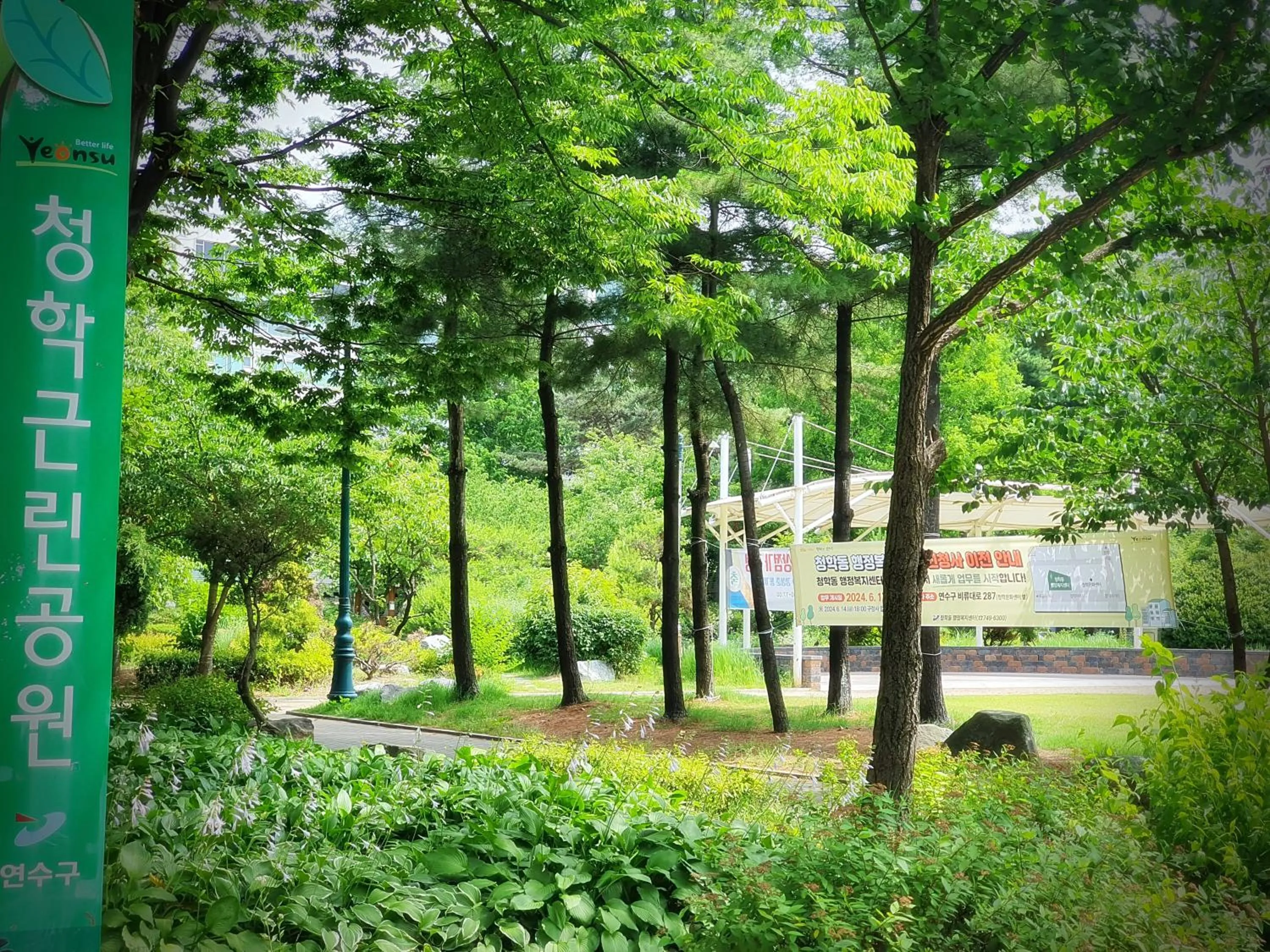 Neighbourhood in Bluebird Hotel