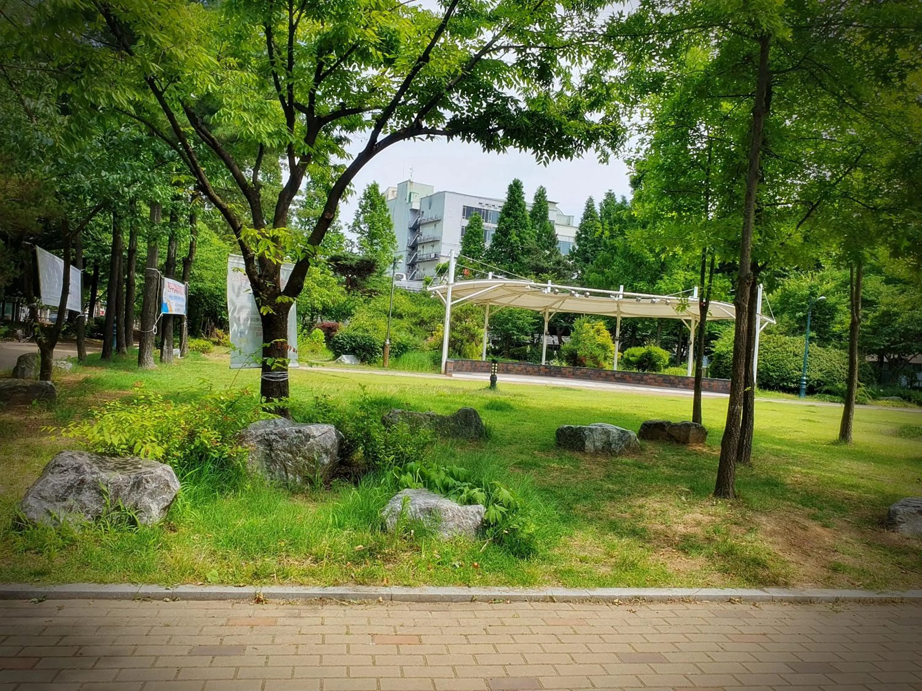 Neighbourhood in Bluebird Hotel