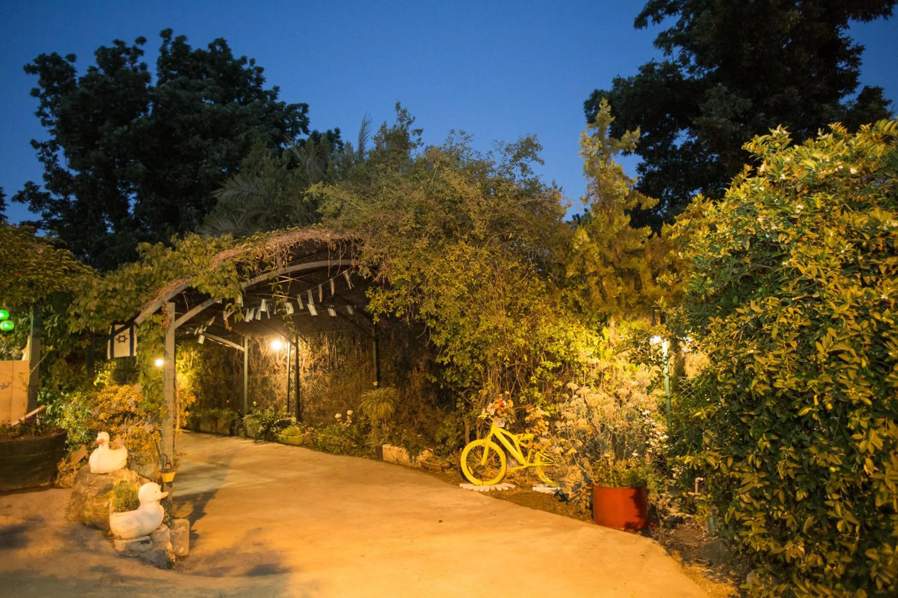 Garden in Leyad Hashmura Lodging
