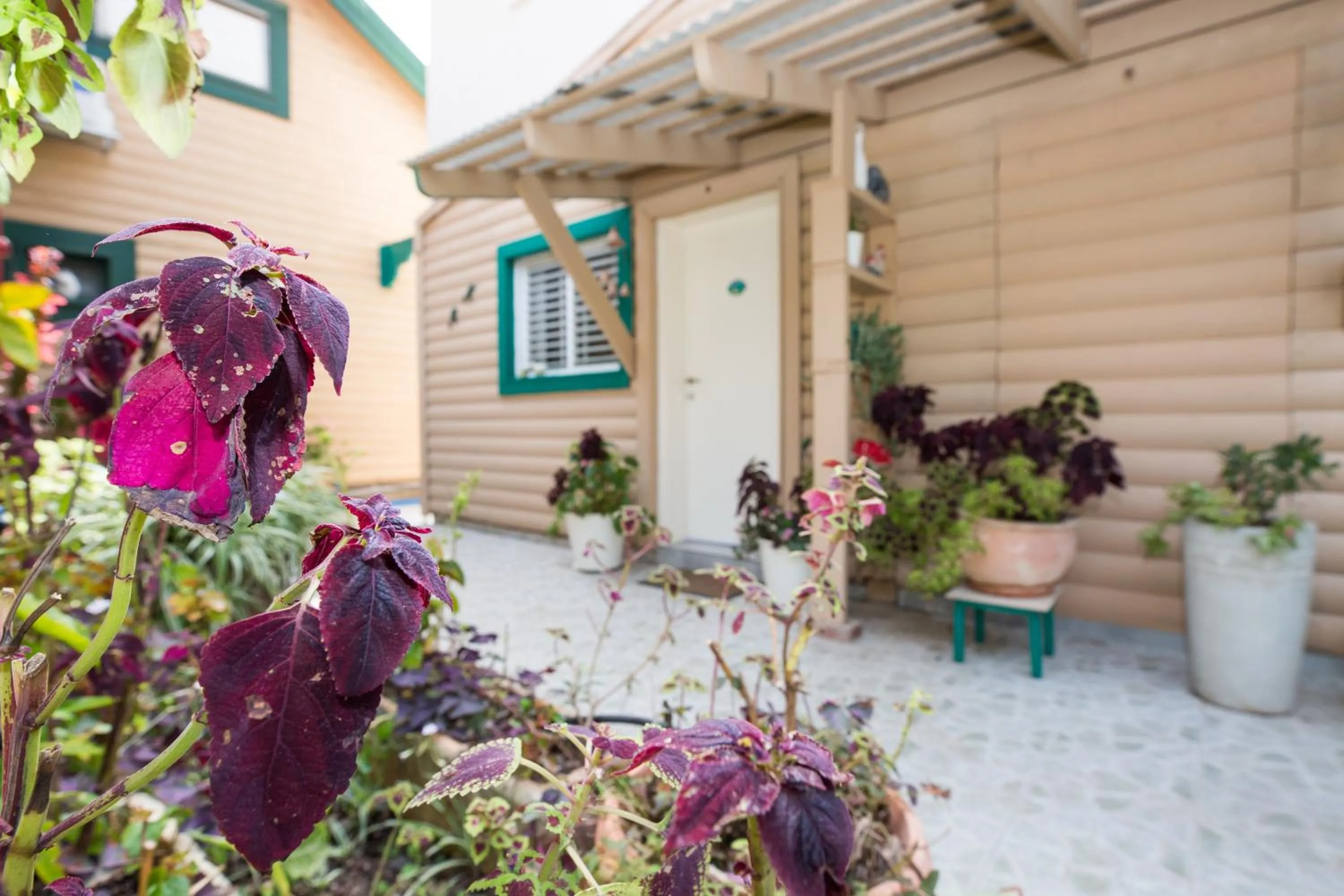 Leyad Hashmura Lodging
