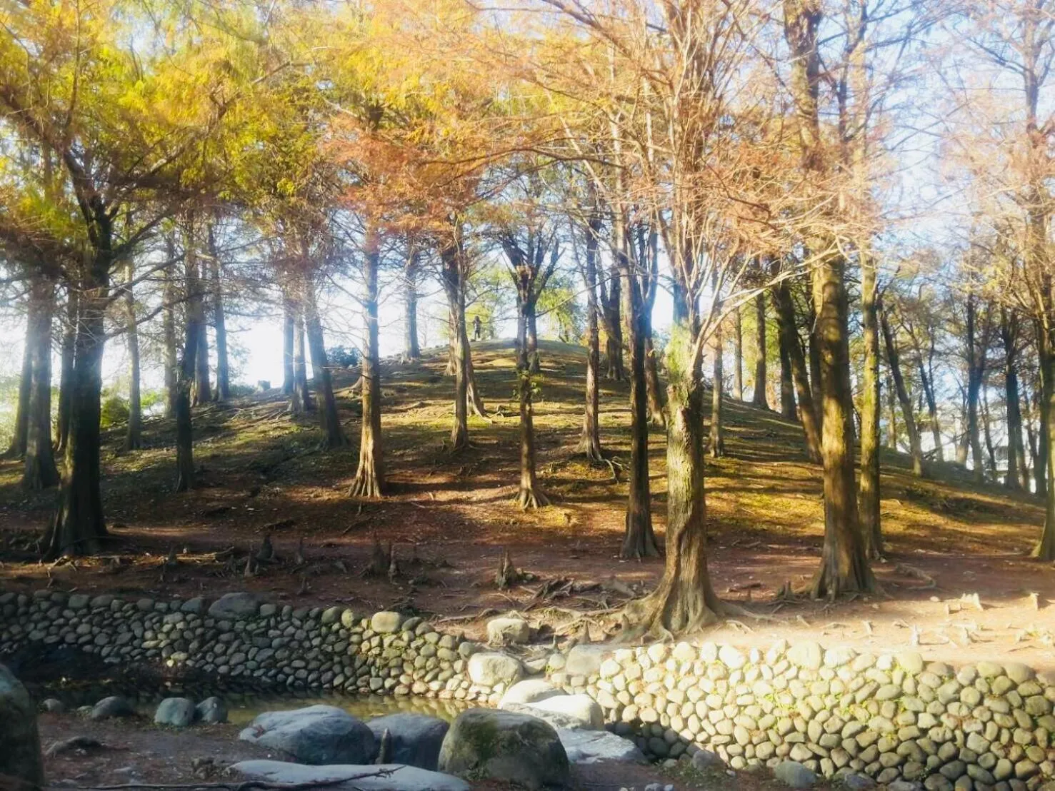 Nearby landmark in Mystery13