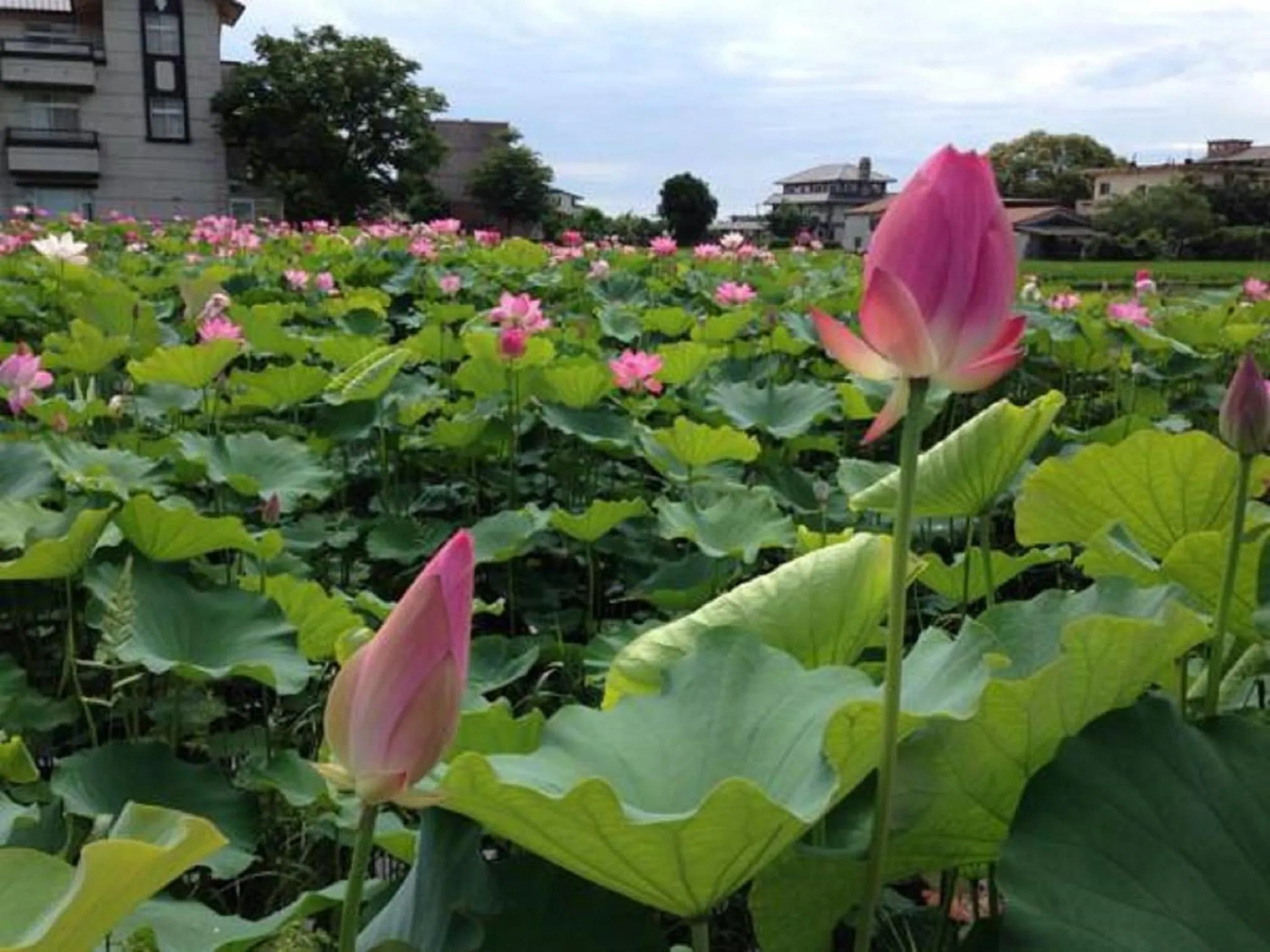 Nearby landmark in Mystery13