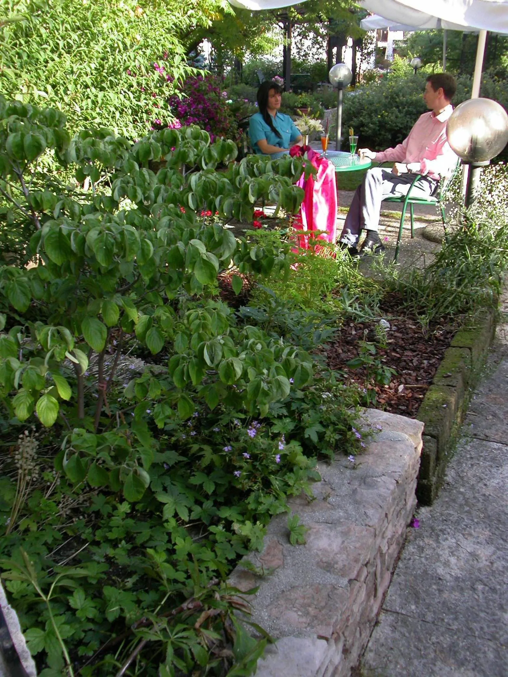 Other in Relax Hotel Erica