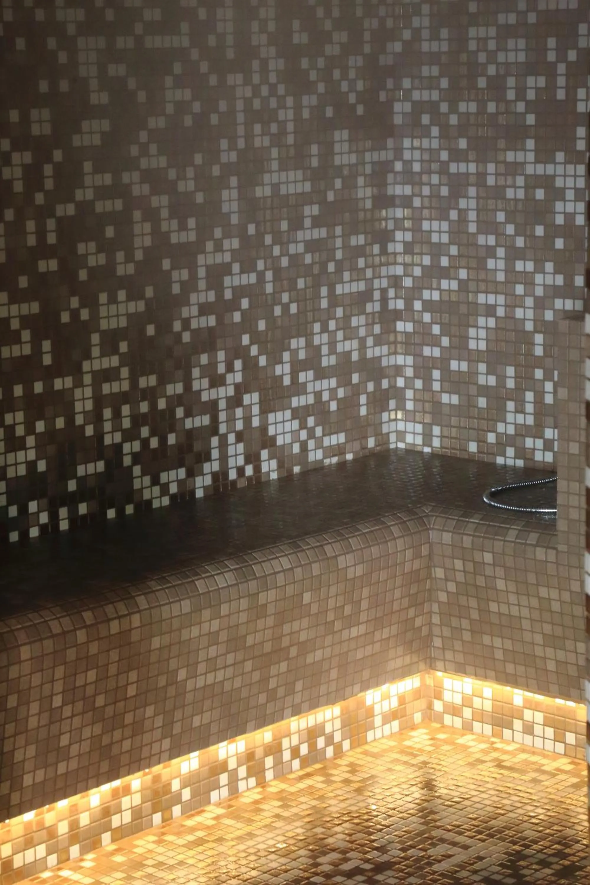 Steam room in Relax Hotel Erica