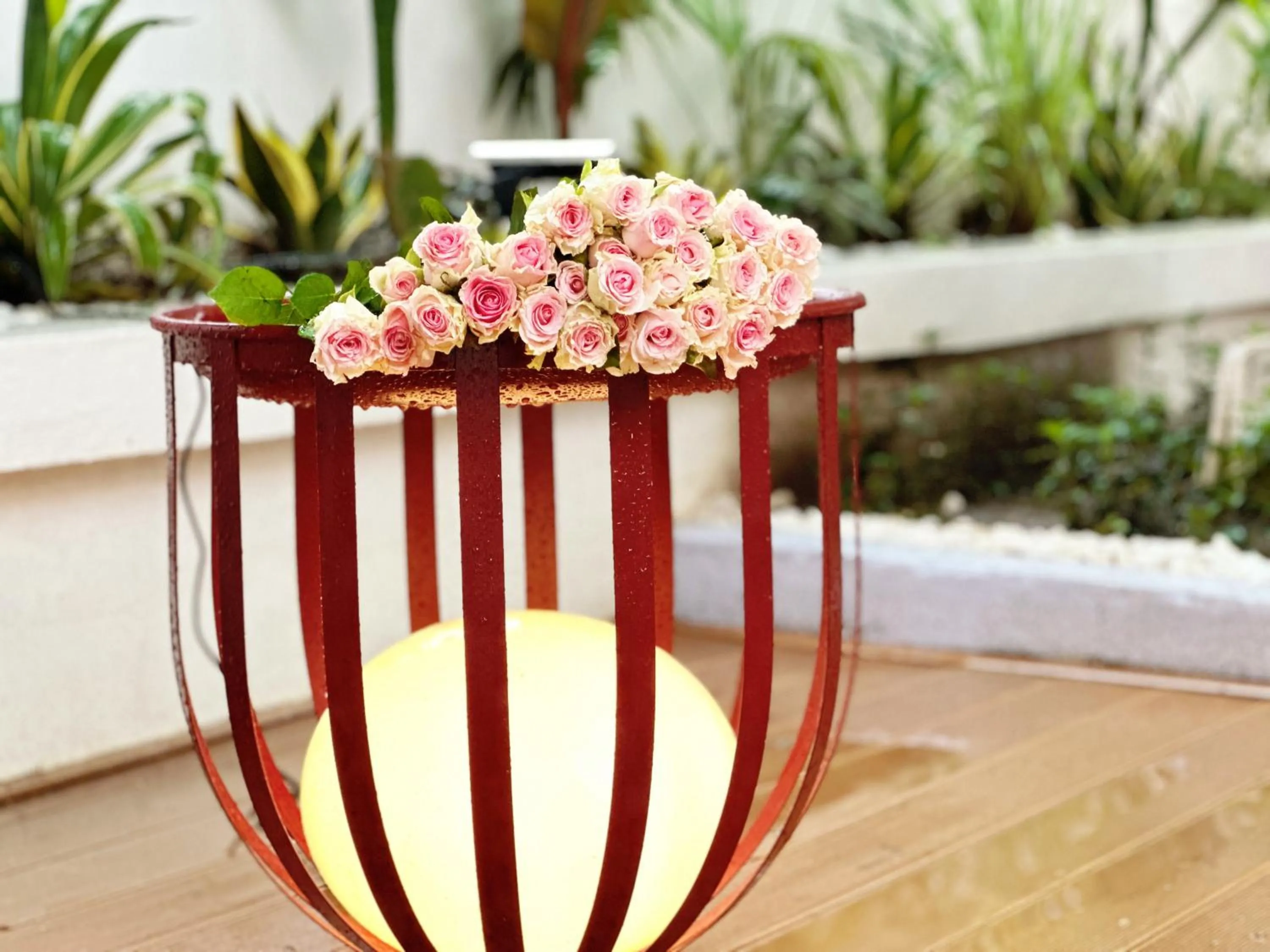 Garden in No 33 Lodge