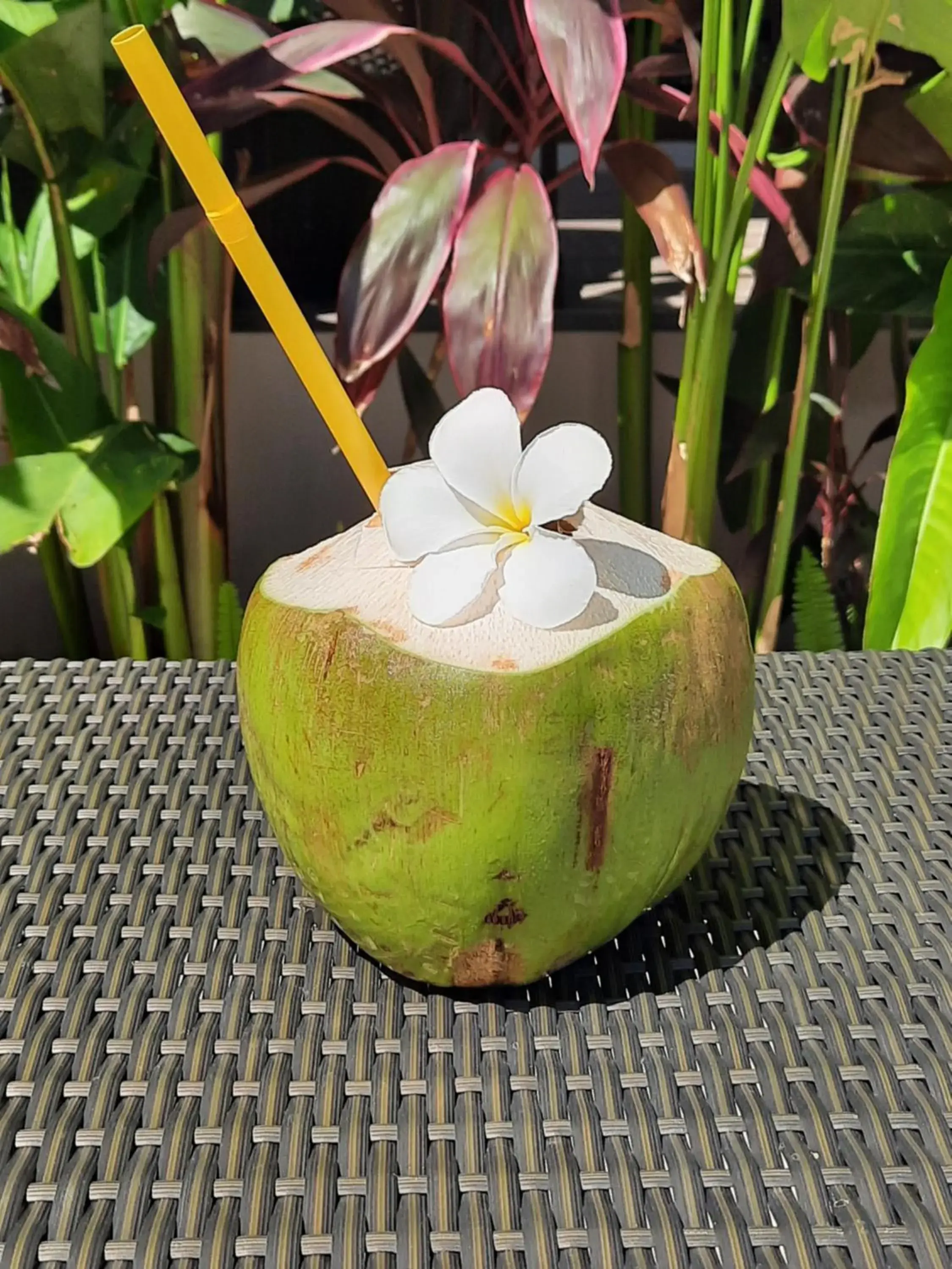 Food and drinks in Baan Sawan Samui Resort Food and drinks in Baan Sawan Samui Resort