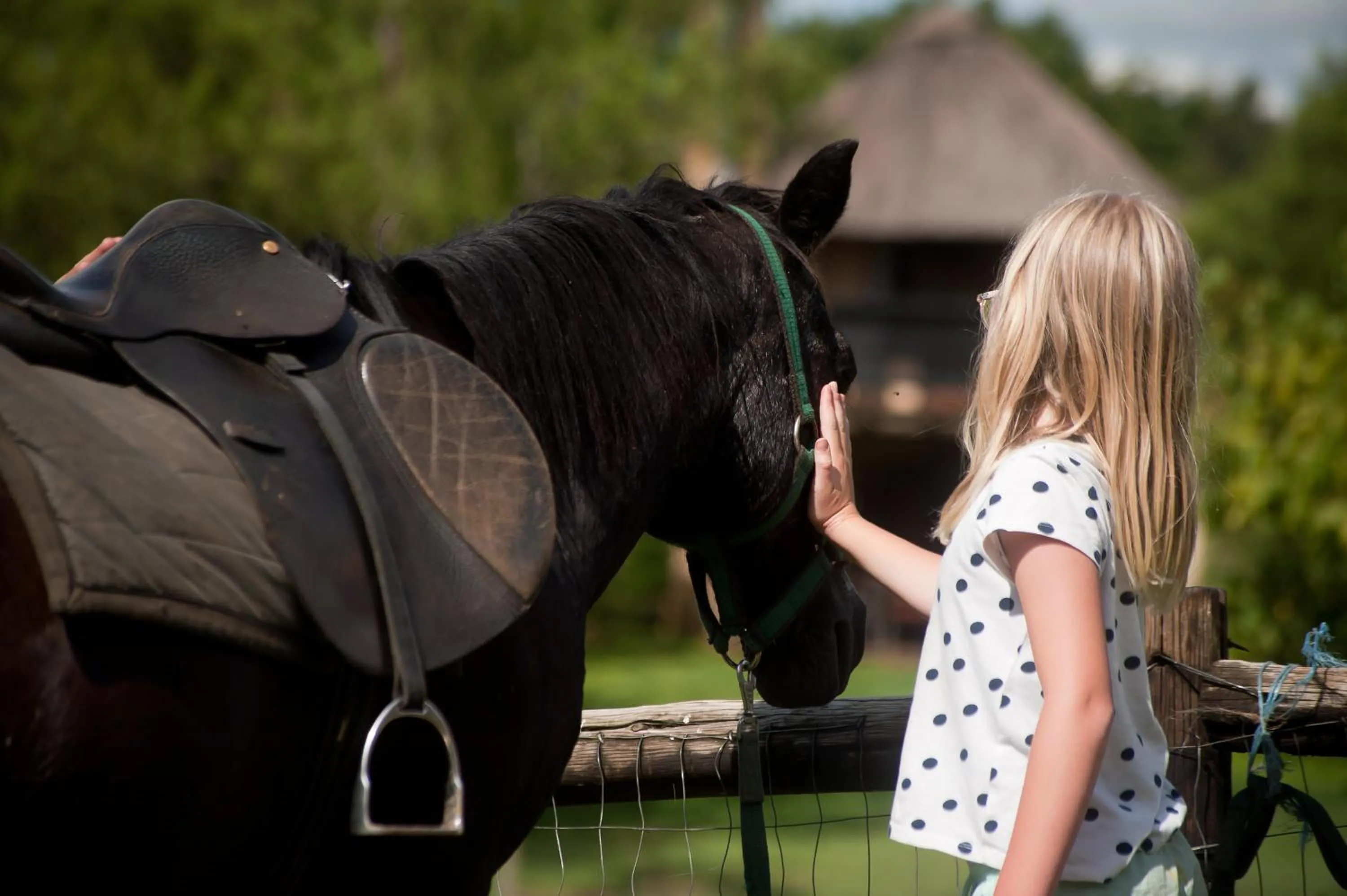 Horse-riding in Ardmore Guest Farm