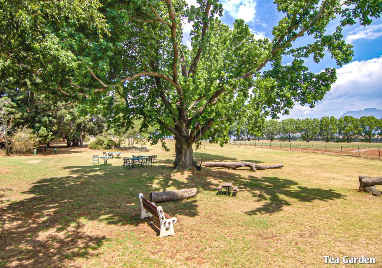 Garden in Ardmore Guest Farm