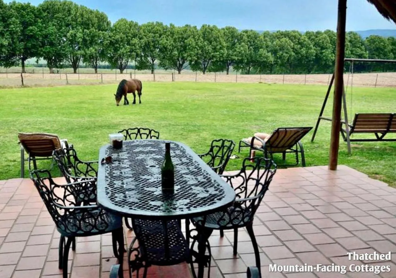 View (from property/room) in Ardmore Guest Farm