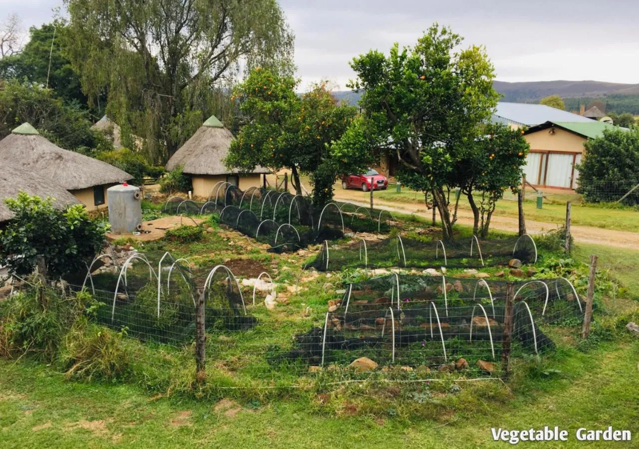Garden in Ardmore Guest Farm