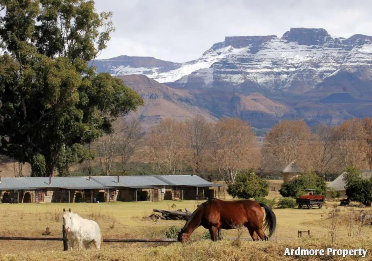 Garden view in Ardmore Guest Farm