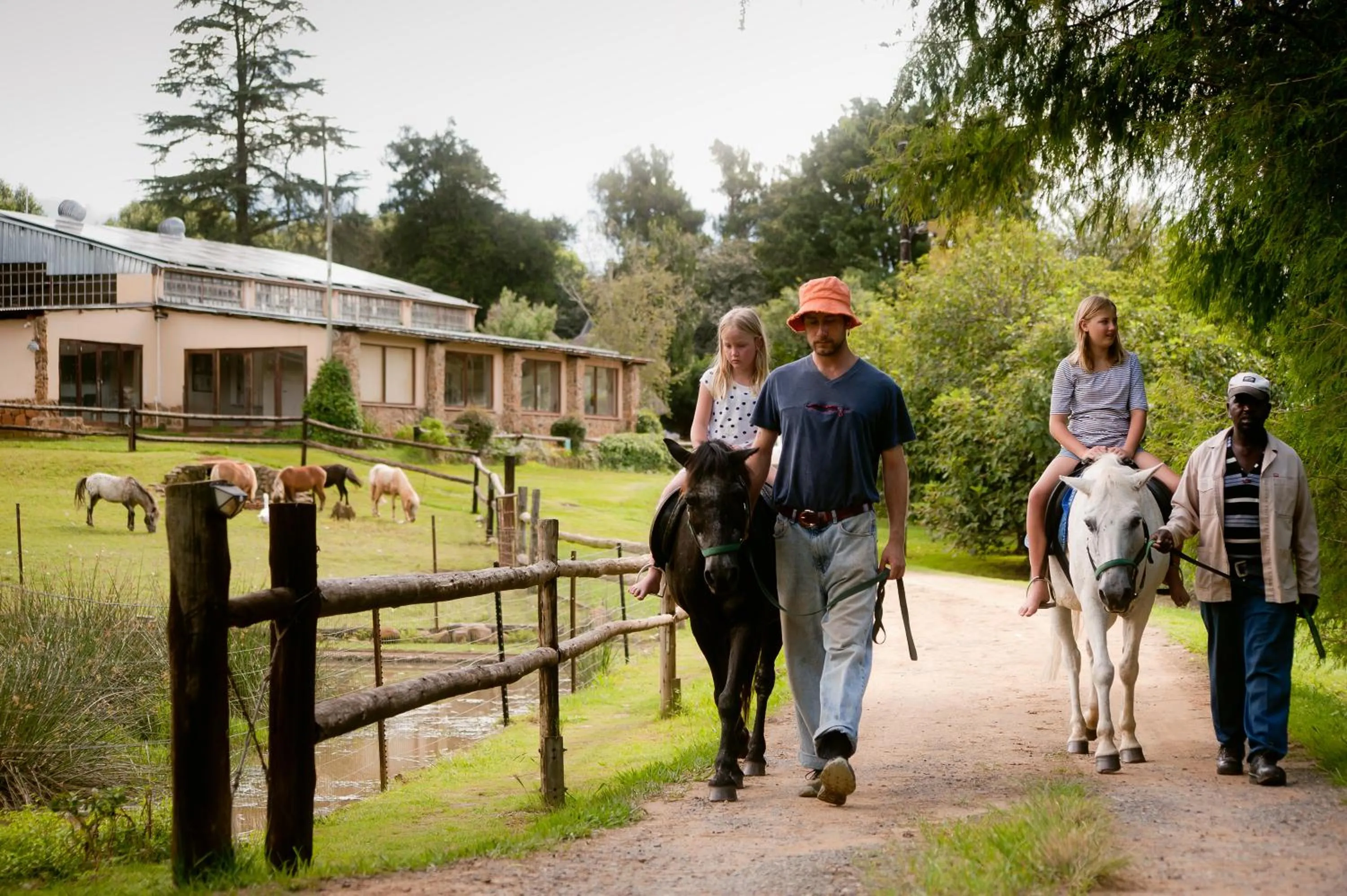 Animals in Ardmore Guest Farm