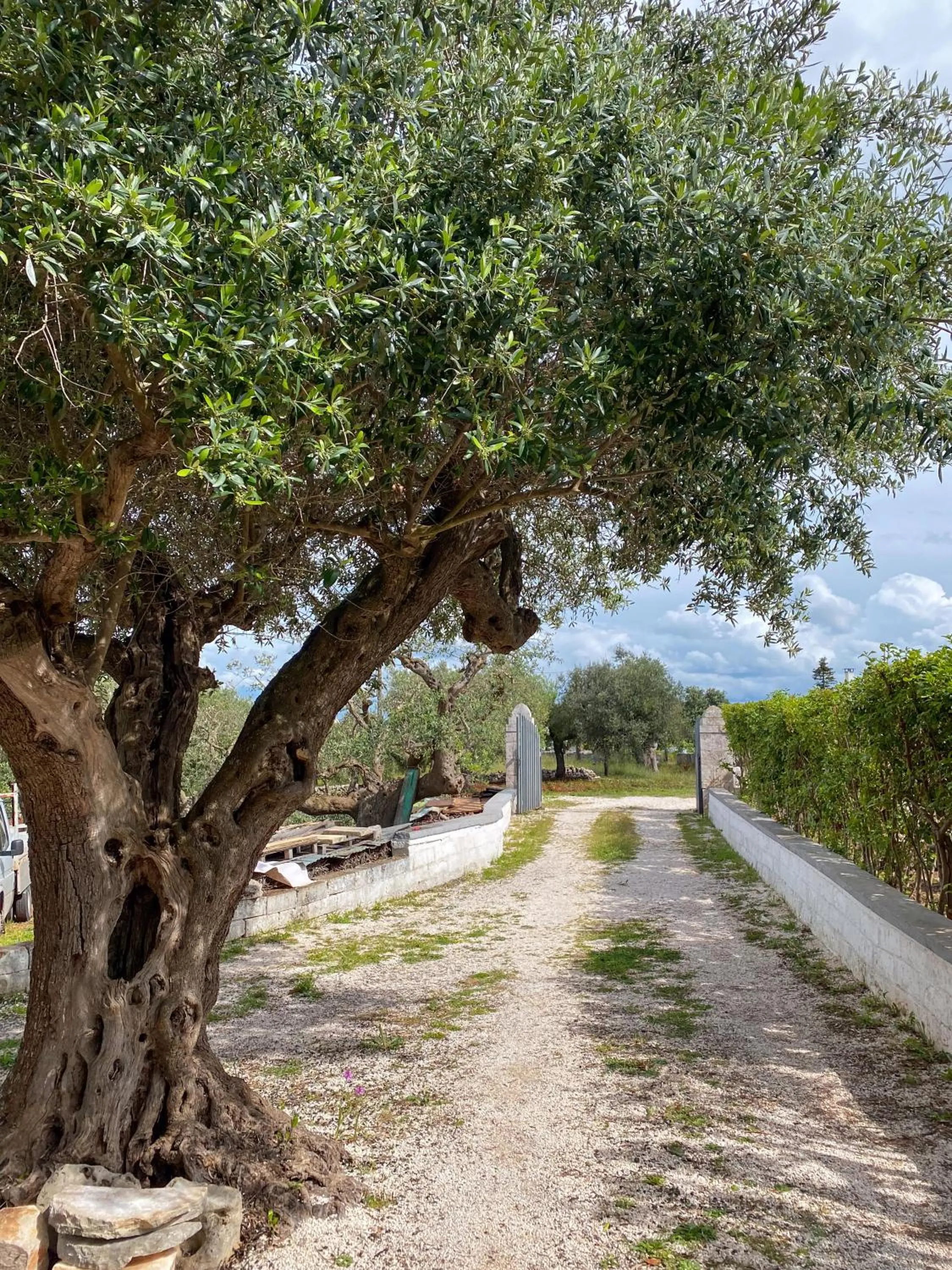Facade/entrance in Trullo Pinto